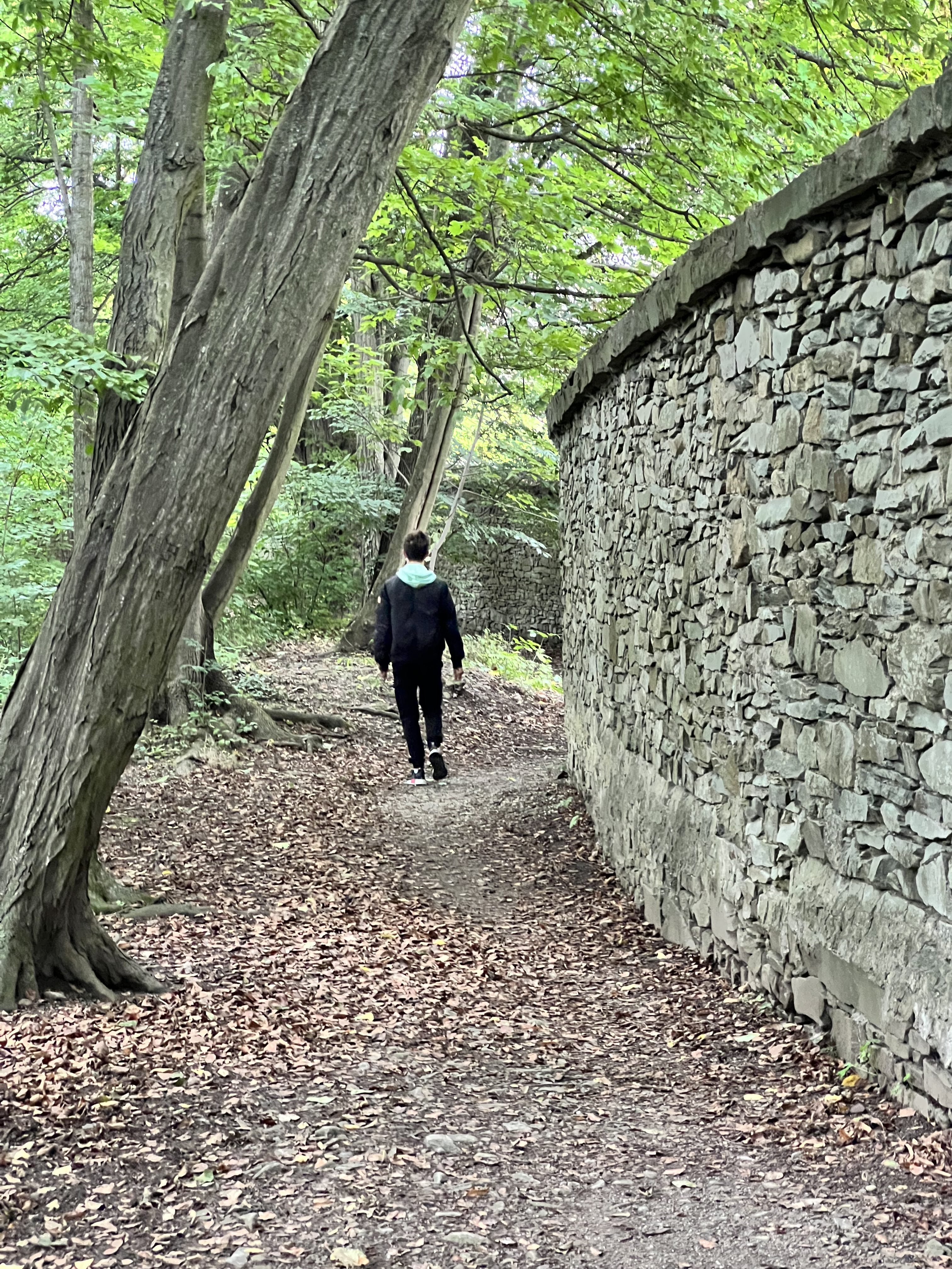 iPhone 13 Pro Max foto LsA 22