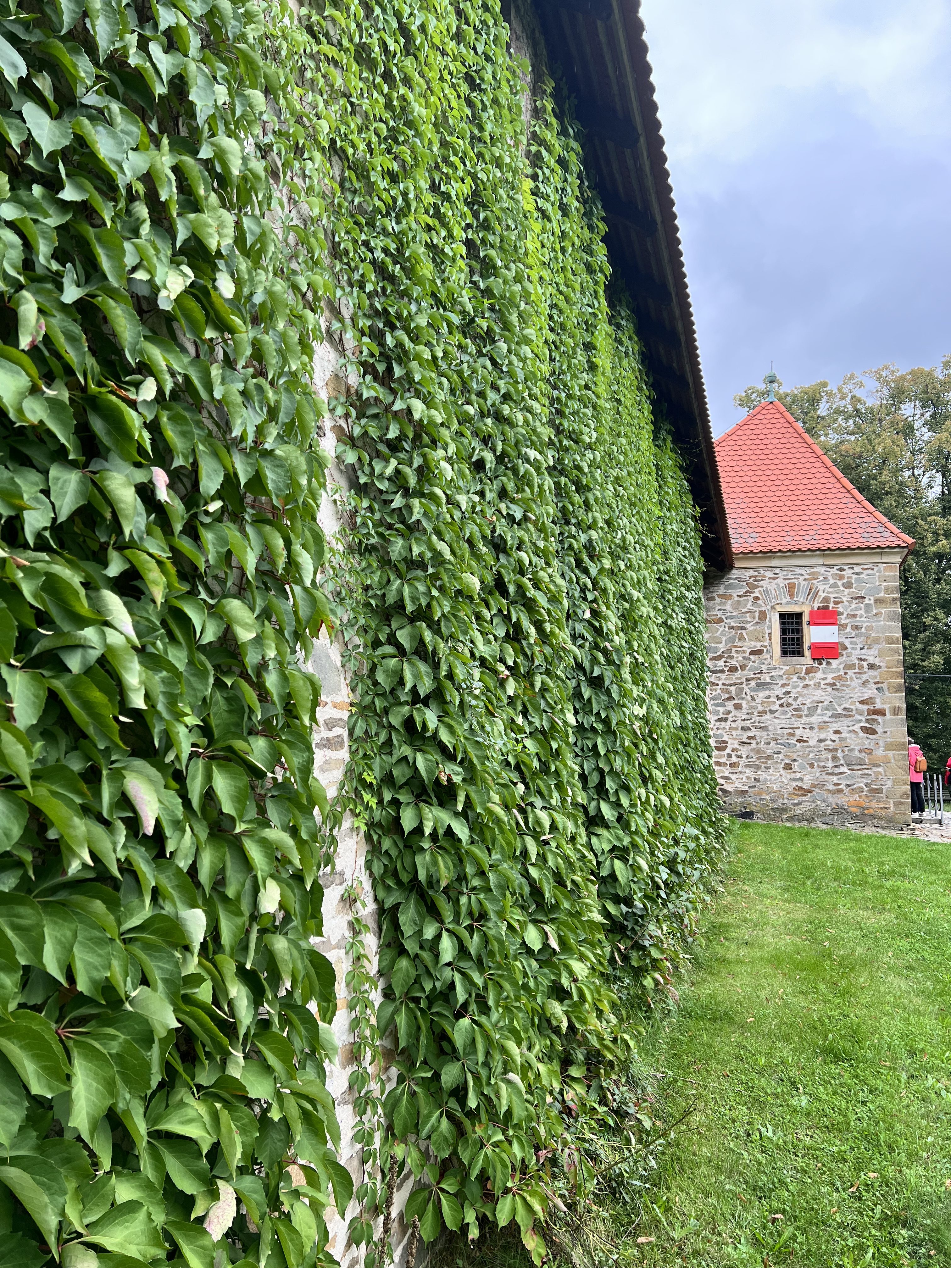 iPhone 13 Pro Max foto LsA 24