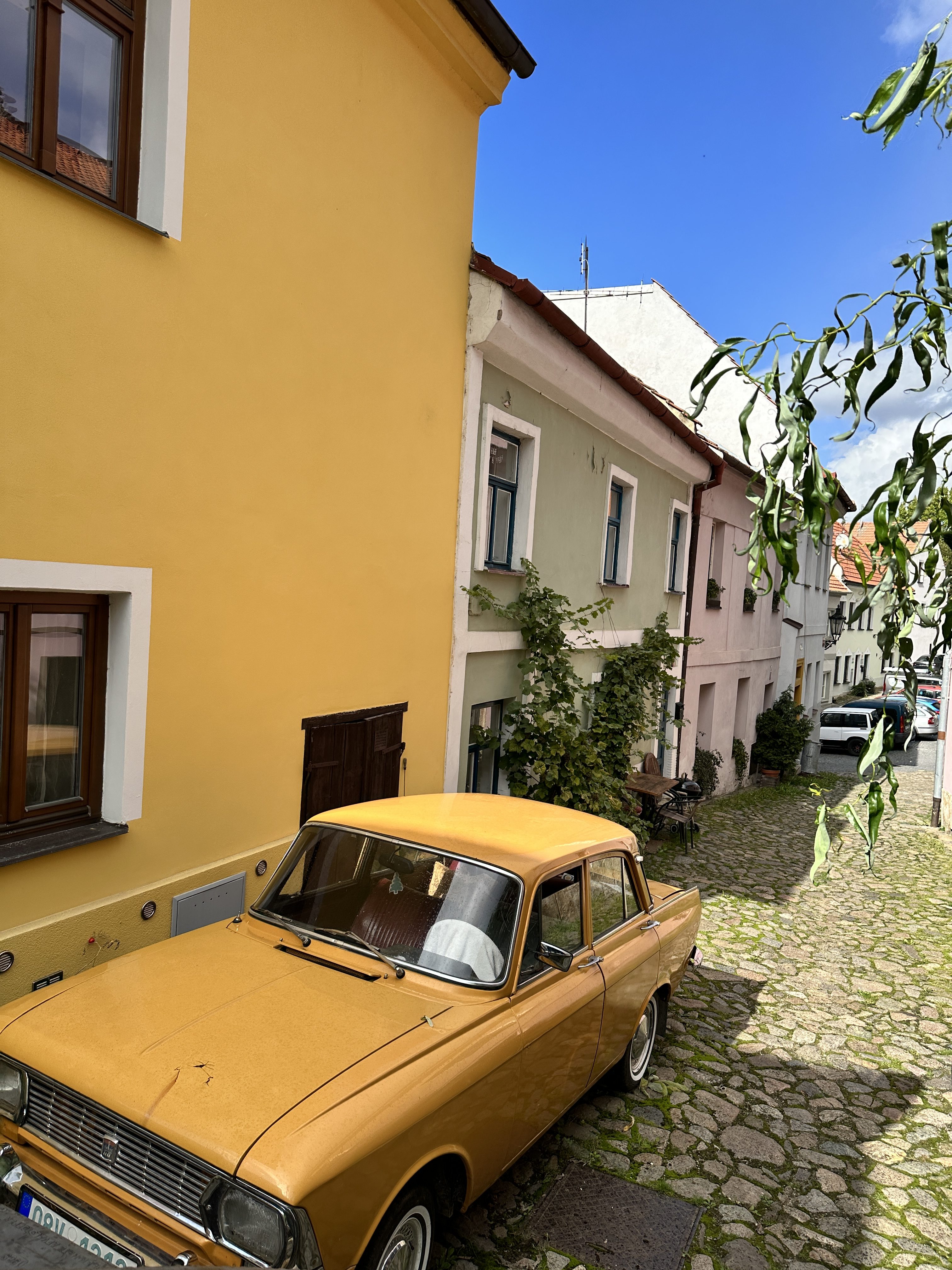 iPhone 14 Pro foto LsA 18