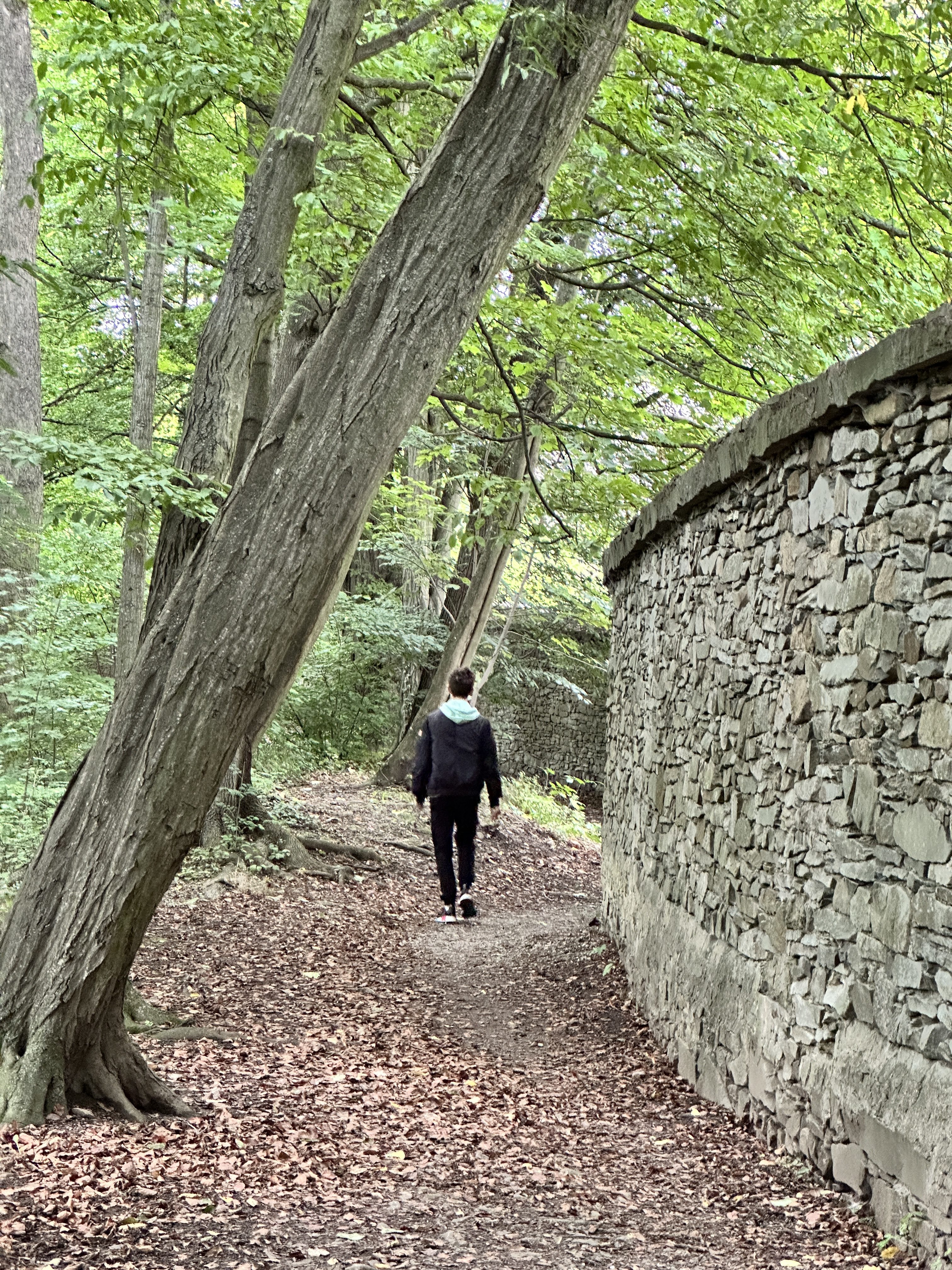 iPhone 14 Pro foto LsA 22