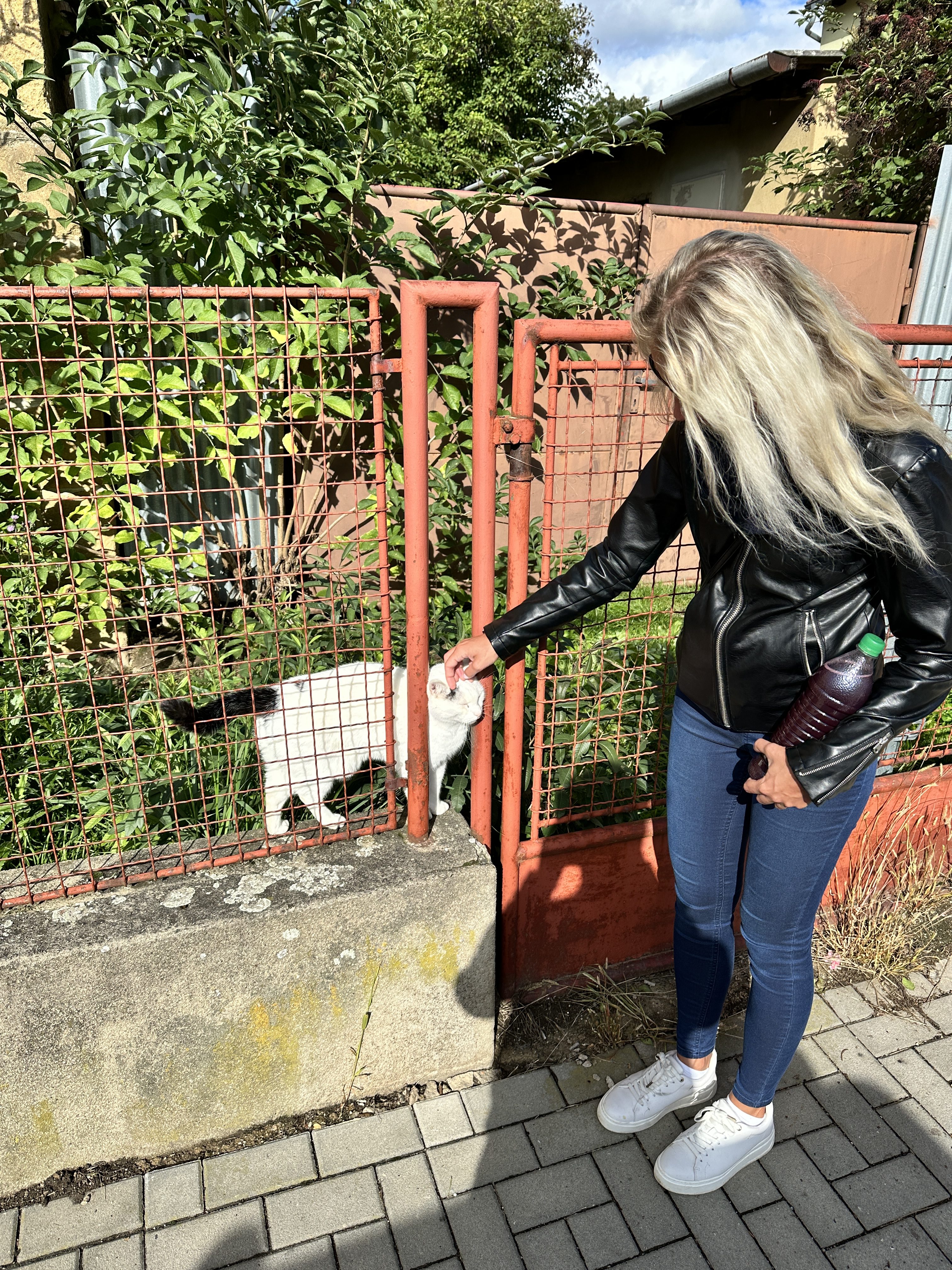 iPhone 14 Pro foto LsA 25