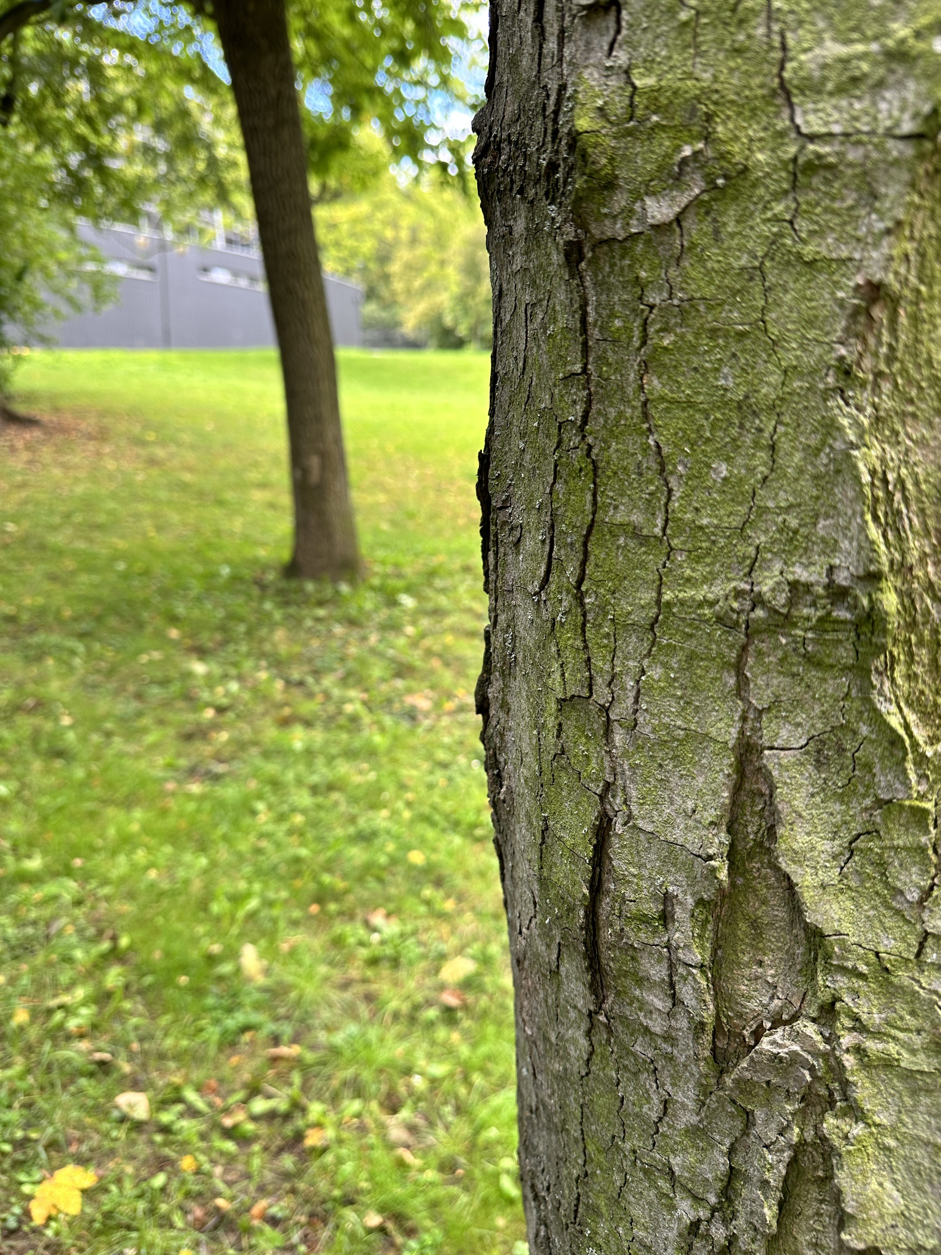 iPhone 14 Pro foto LsA 3