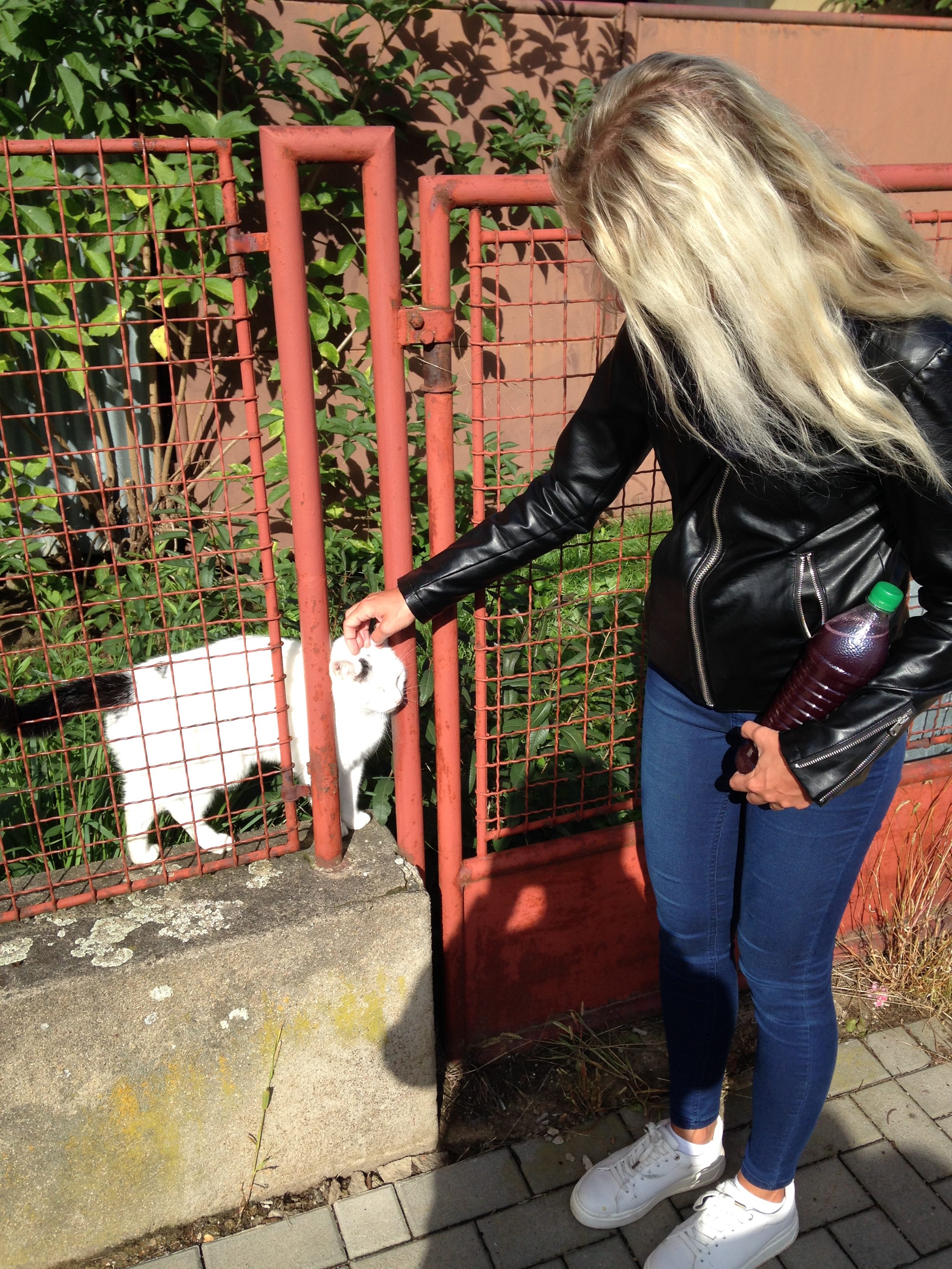 iPhone 5 foto LsA 25