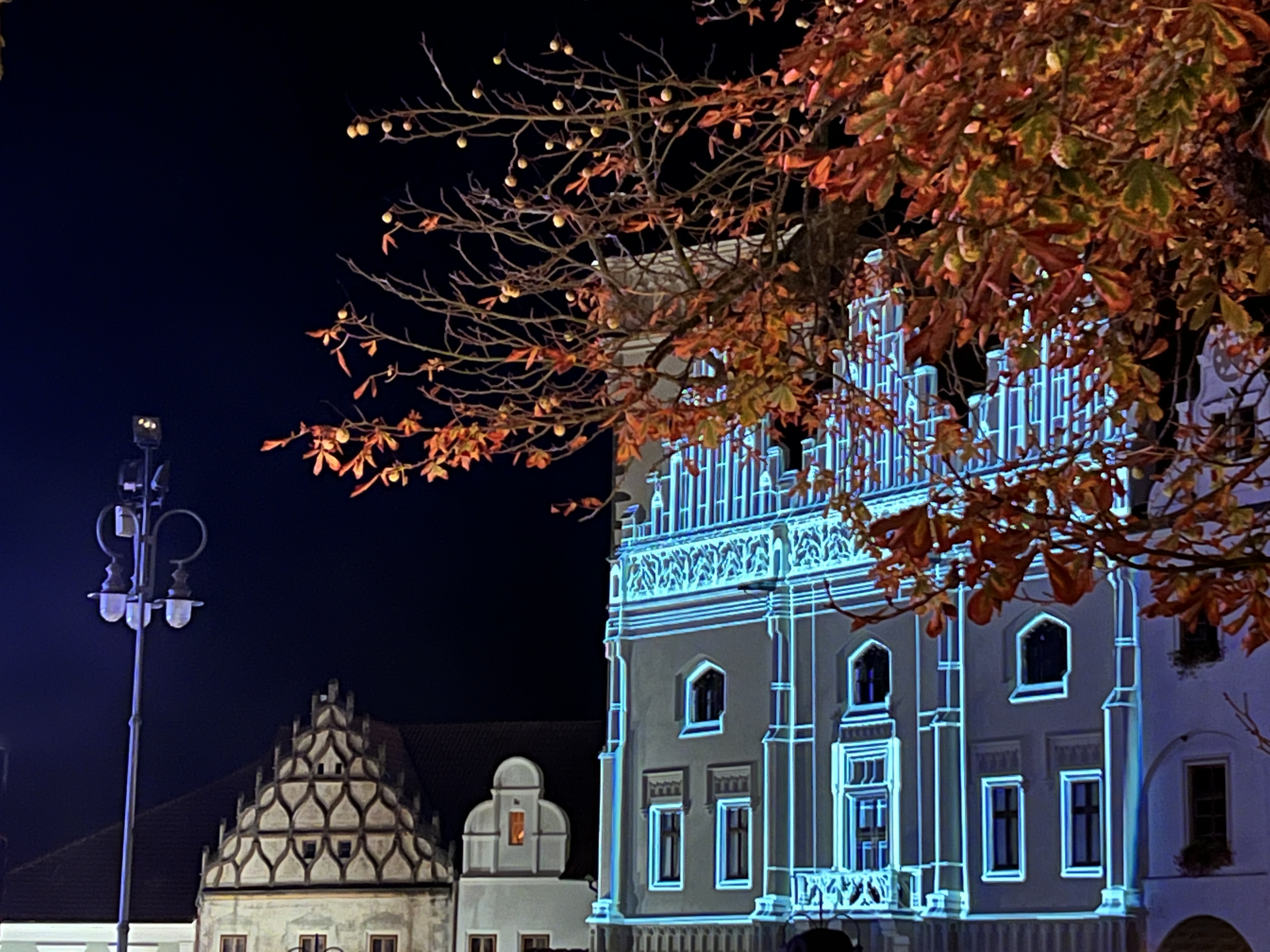 illuminated building with autumn leaves