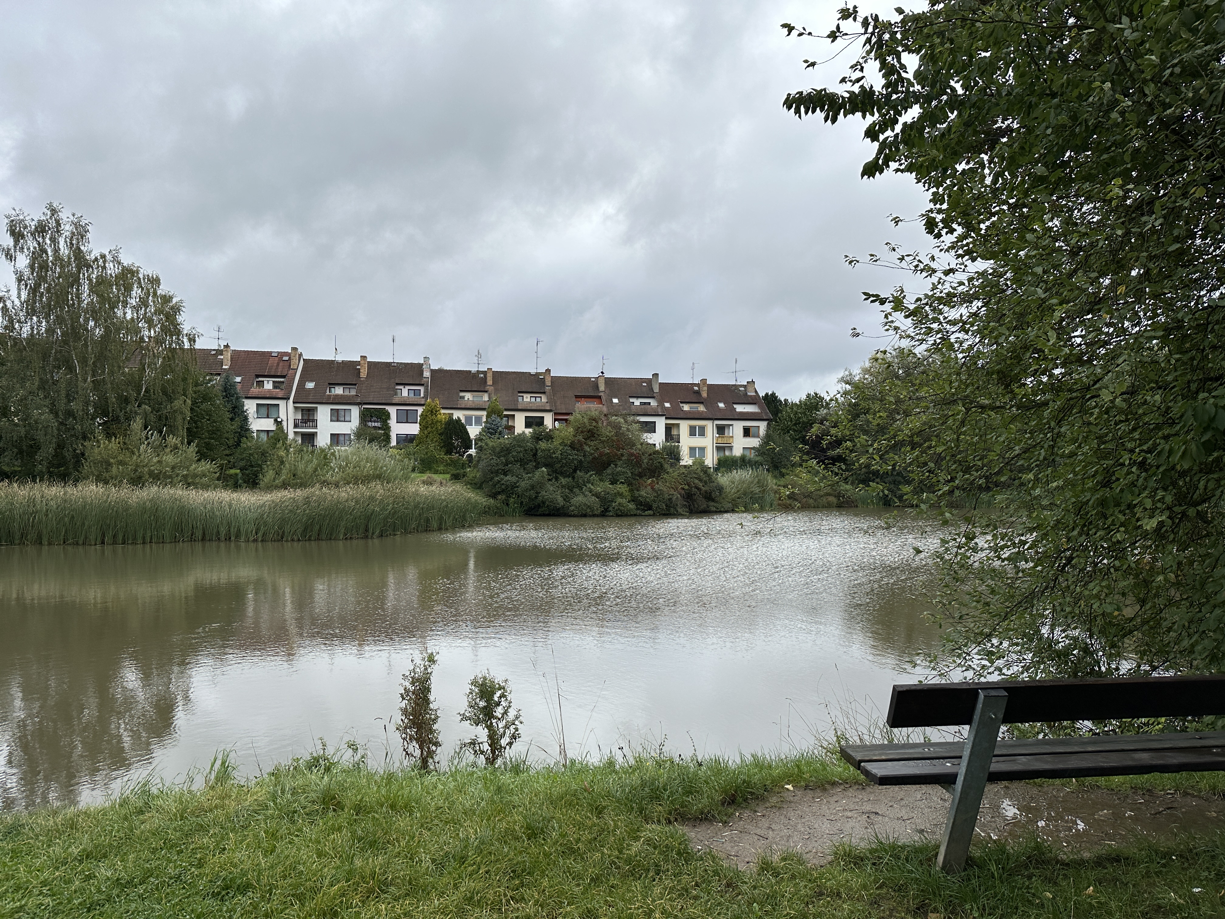 lake houses trees cloudy