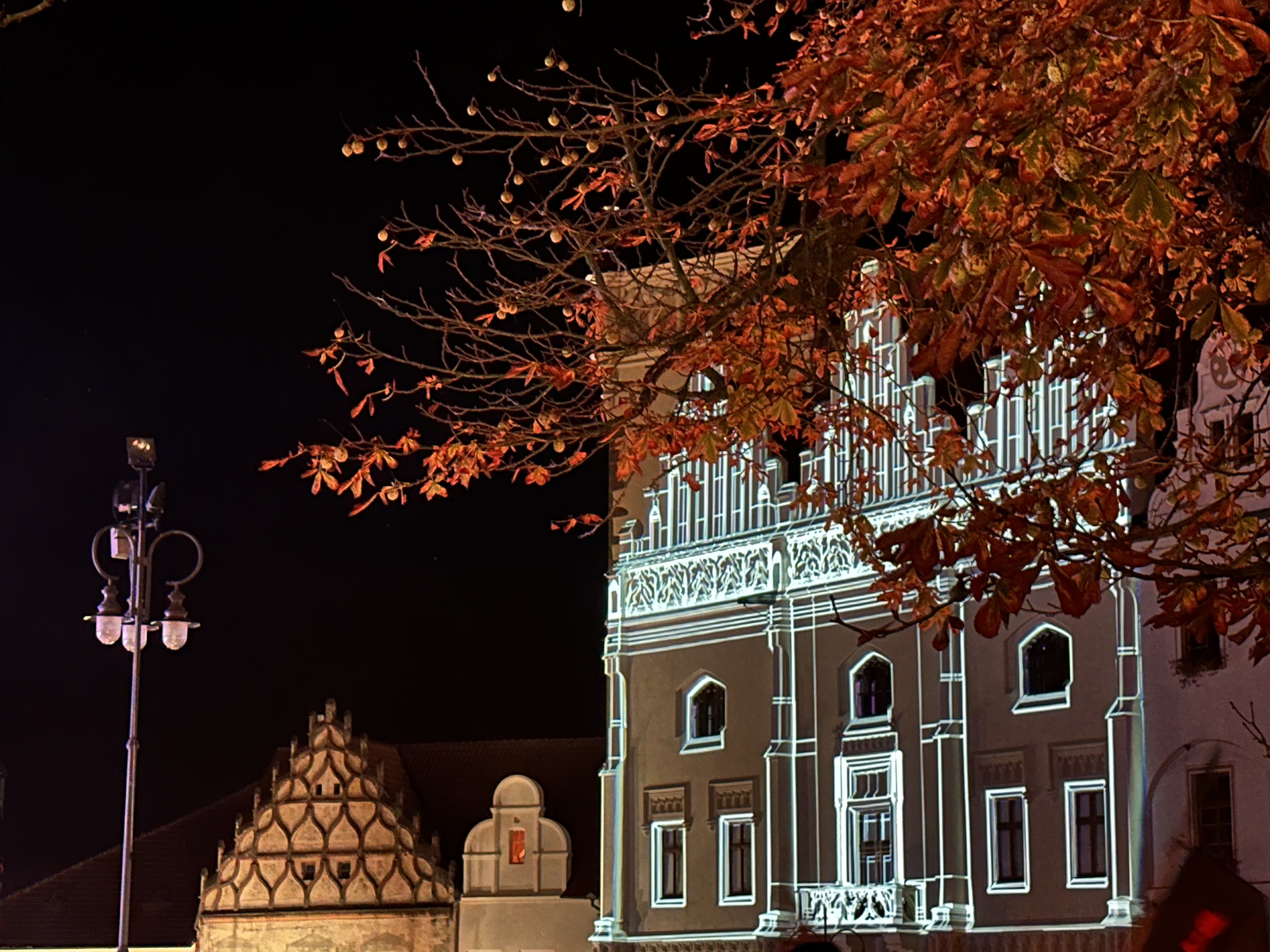 lit building with trees