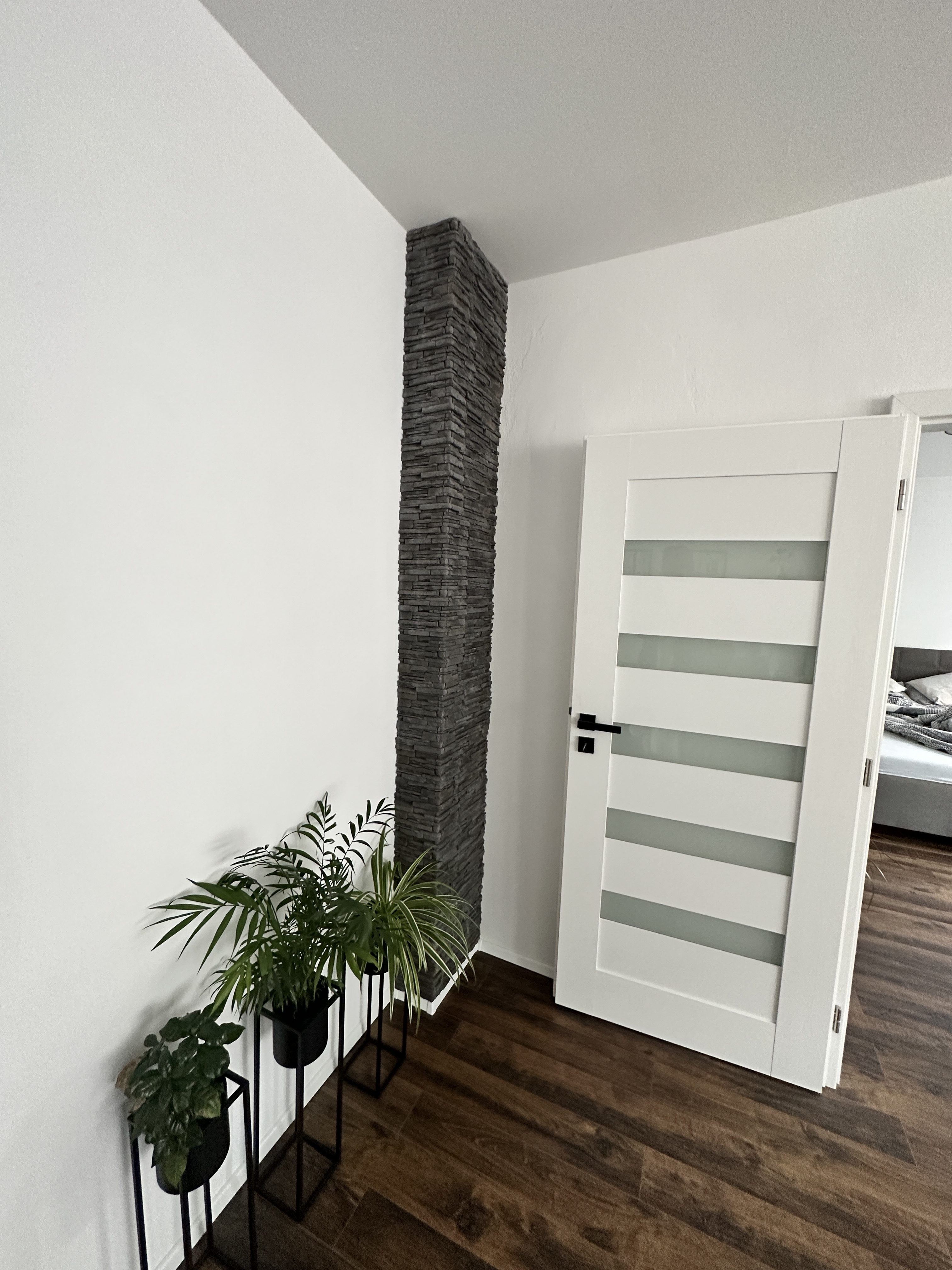 modern interior with plants