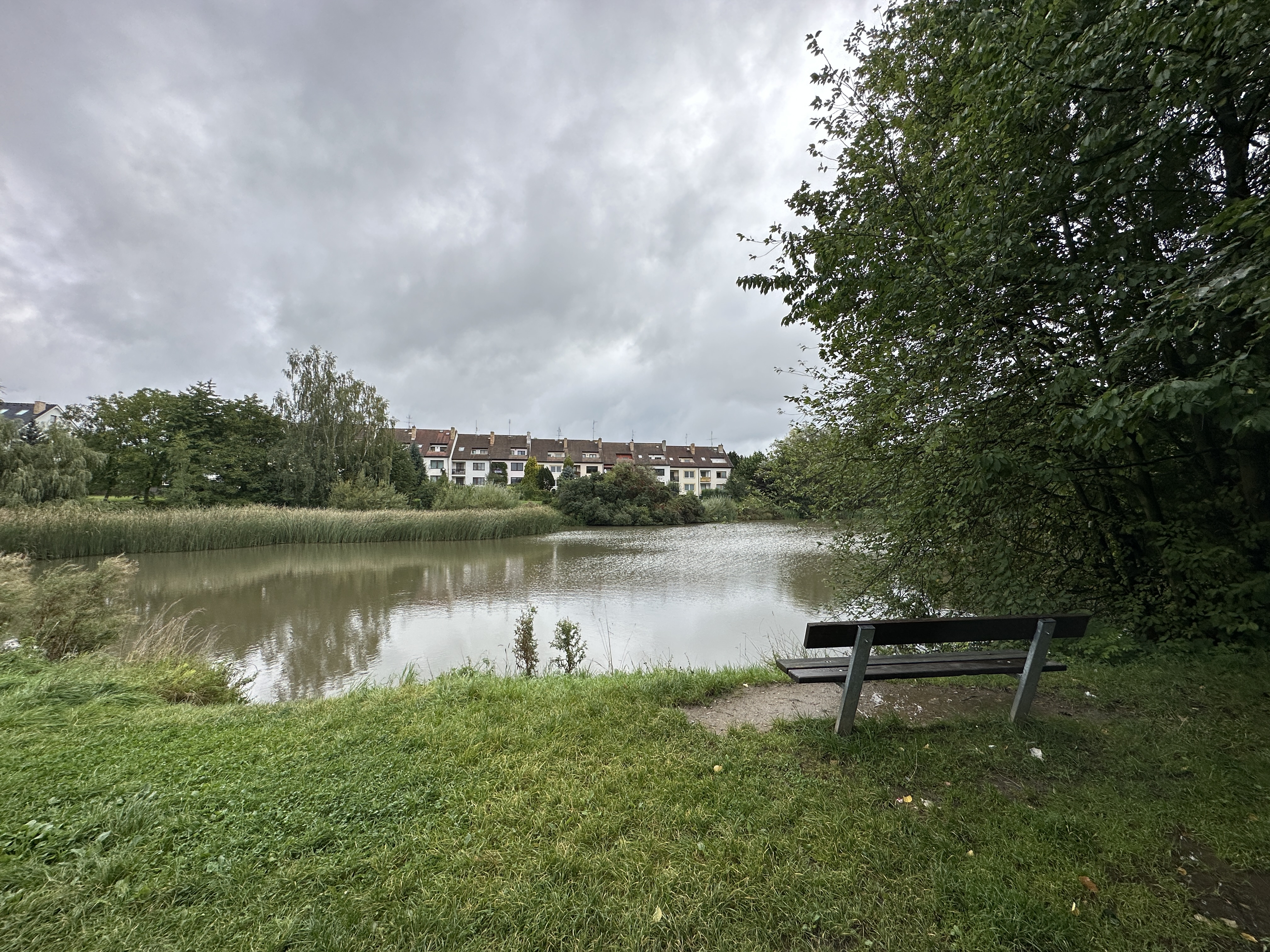 park bench lake view