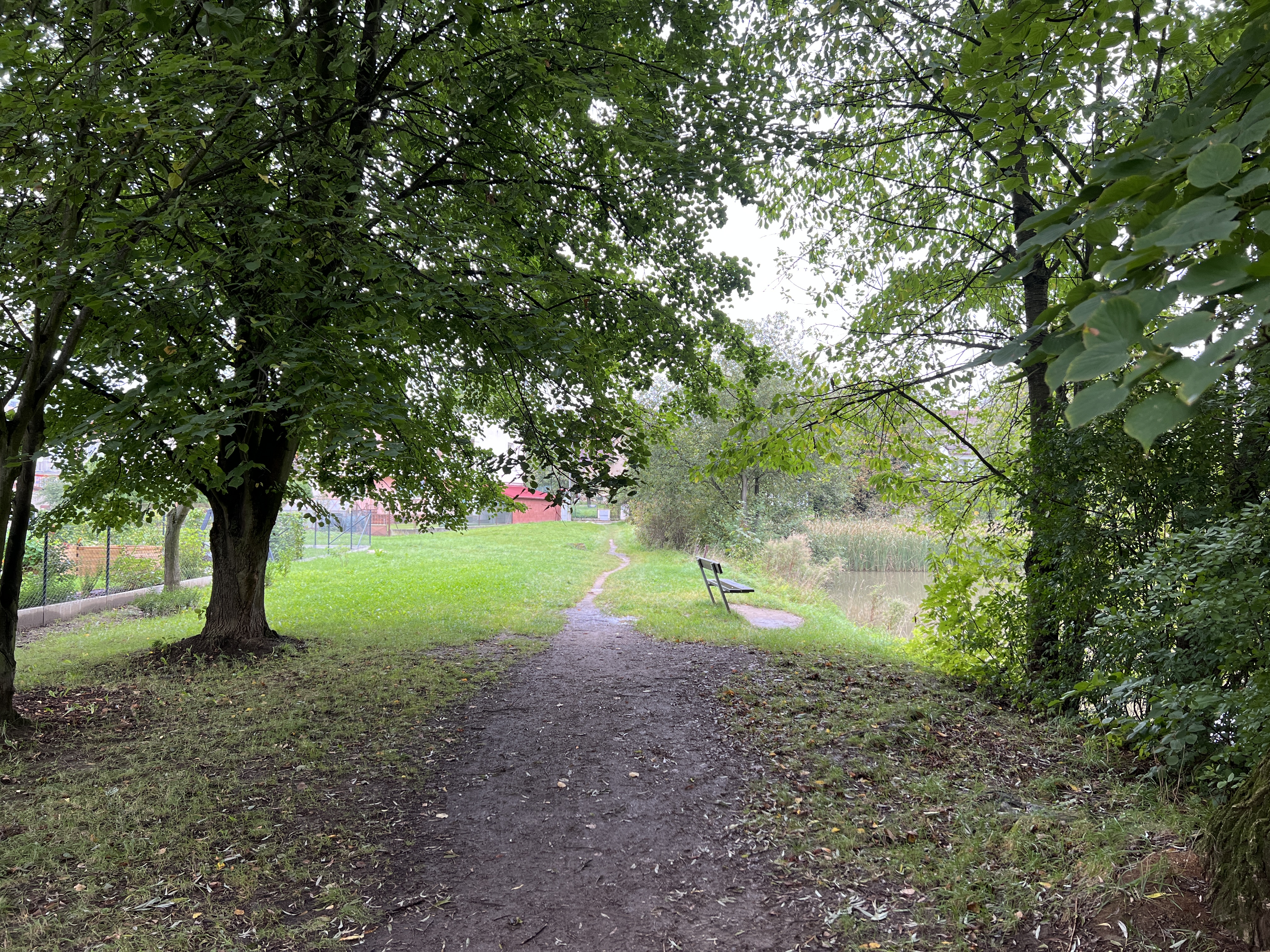 park pathway with bench