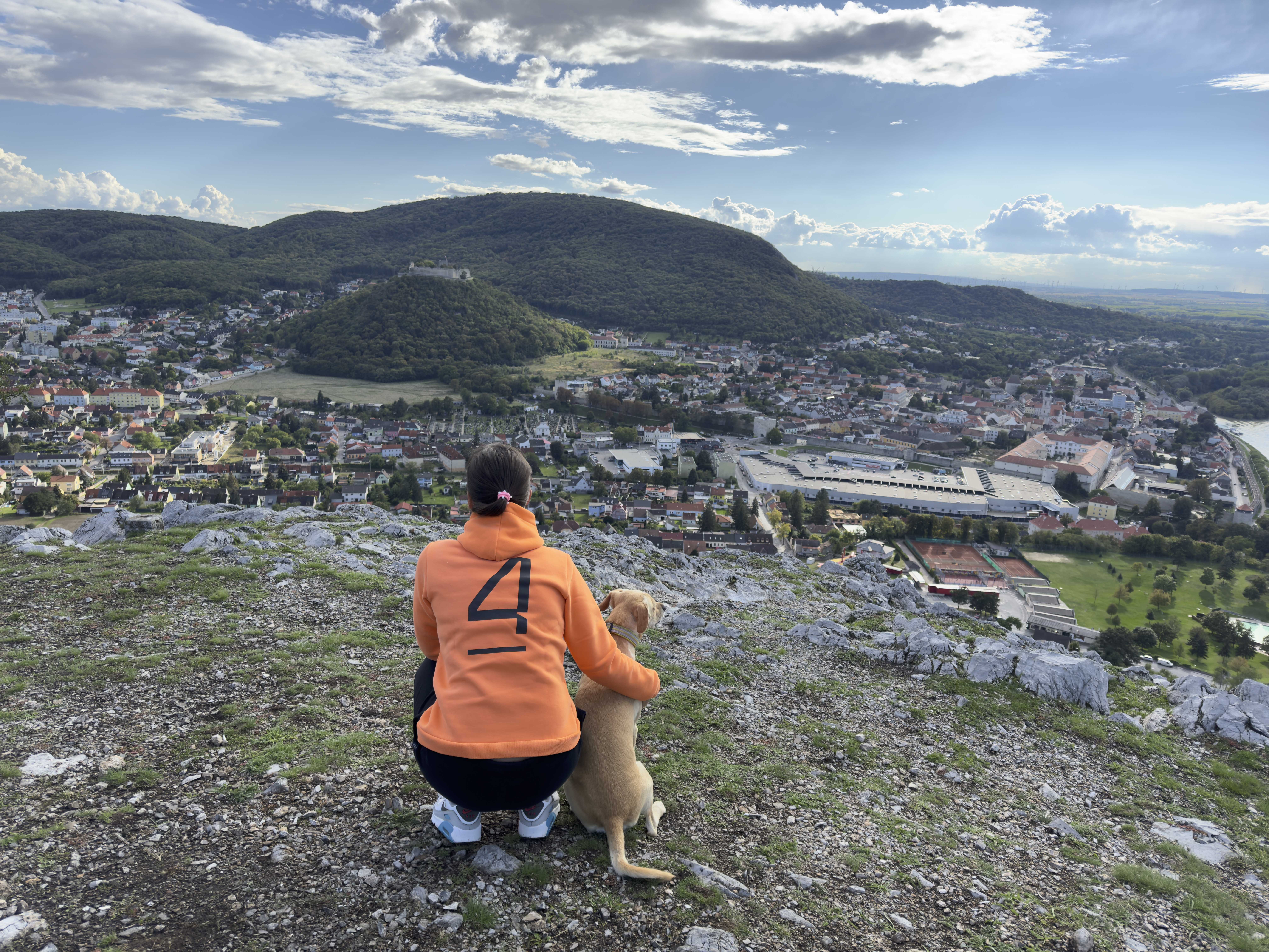 person with dog overlooking town
