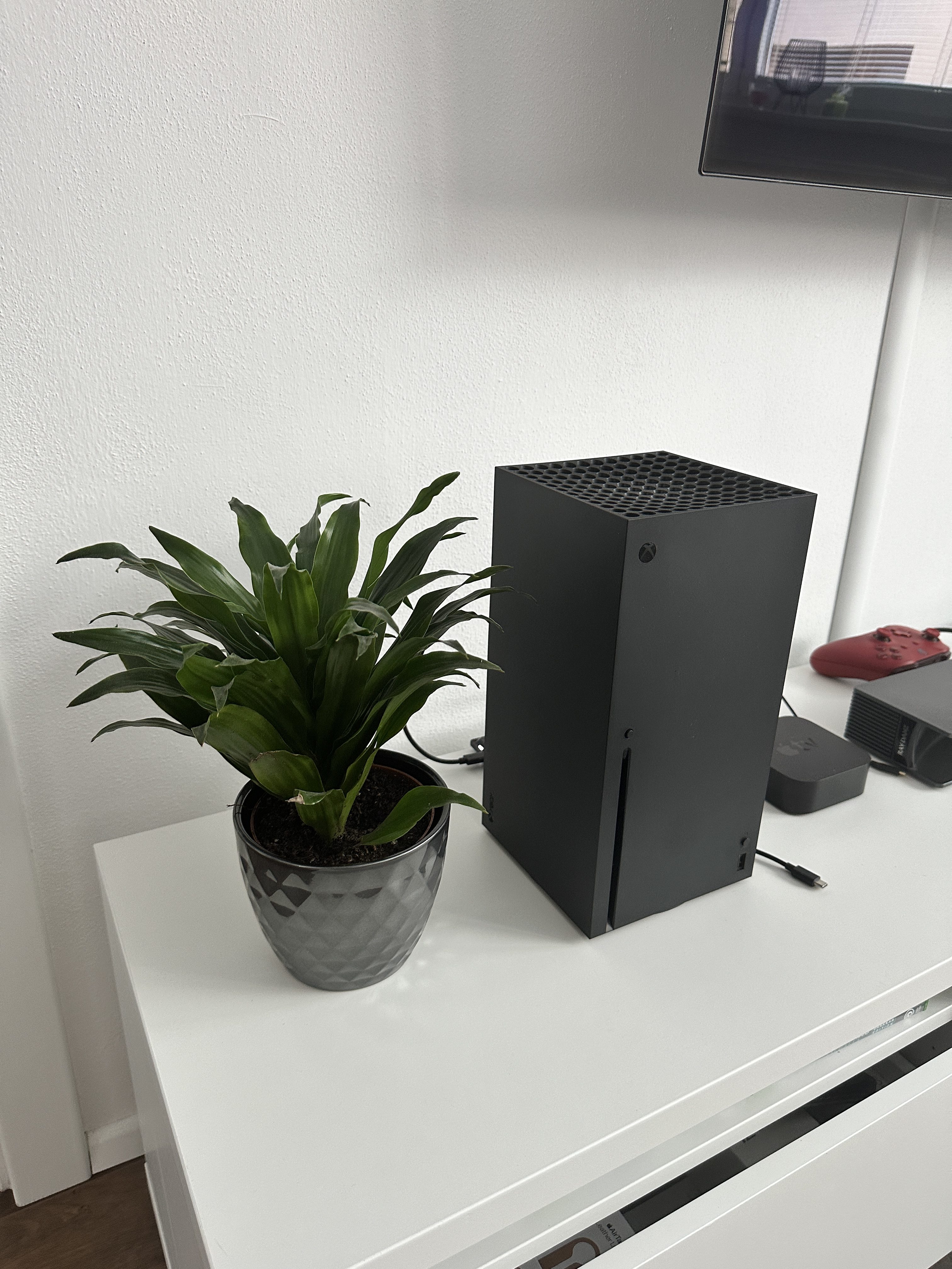 plant and console on white table