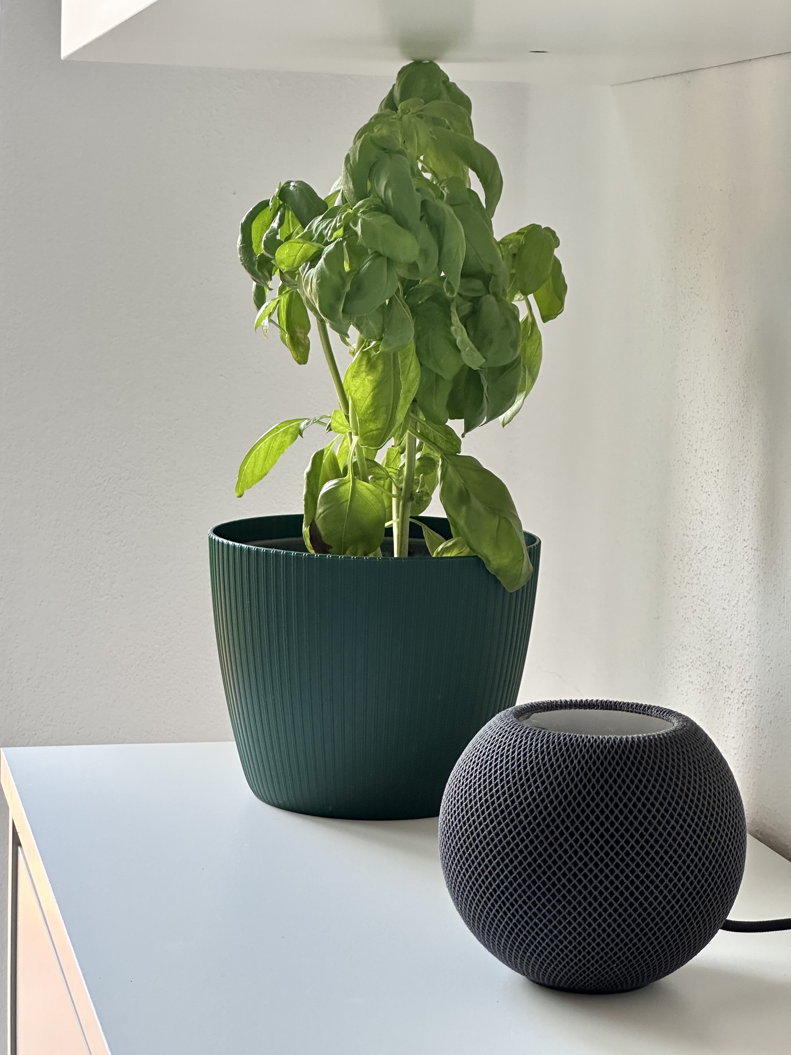 plant speaker shelf