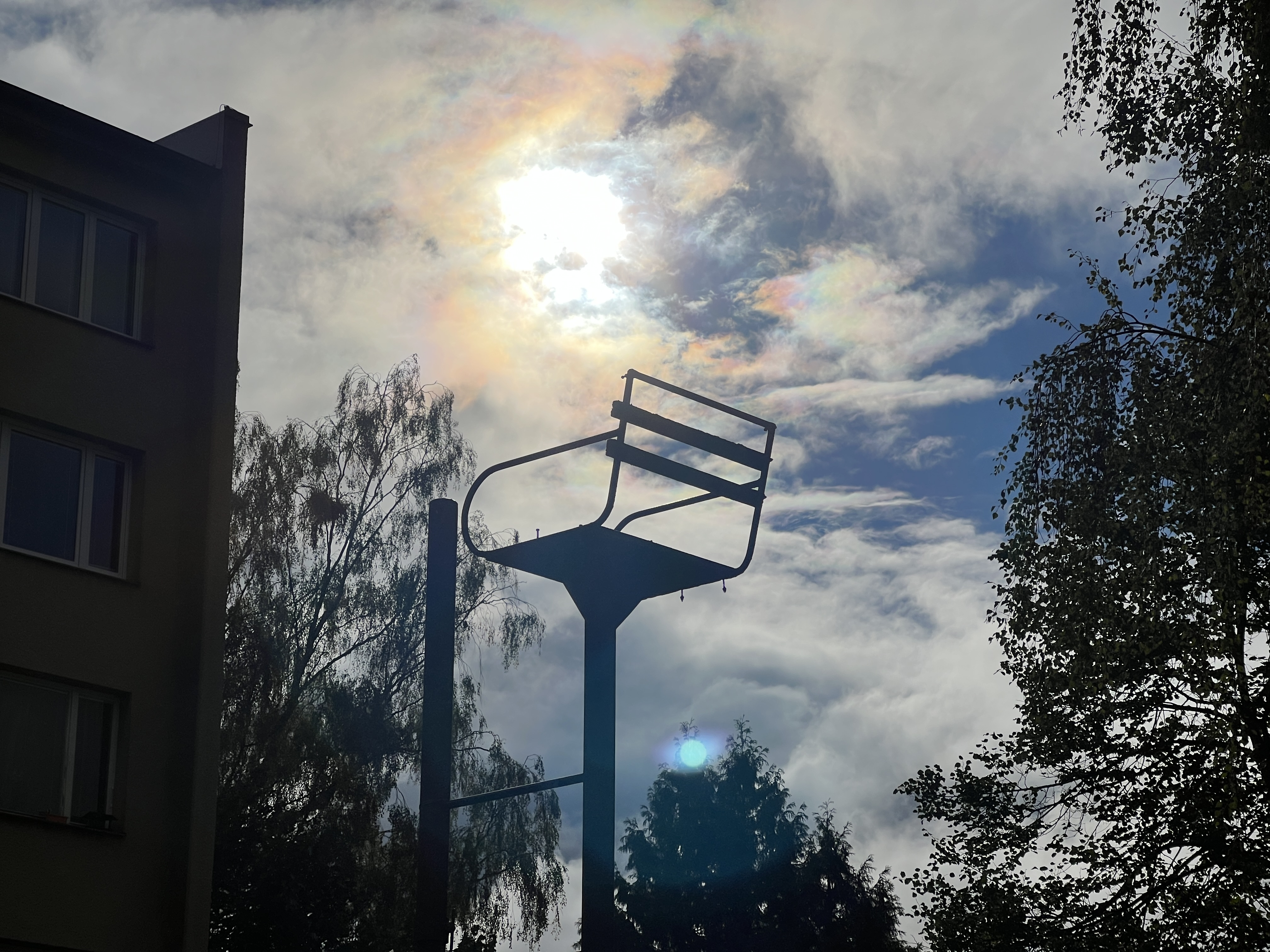 silhouette against sun