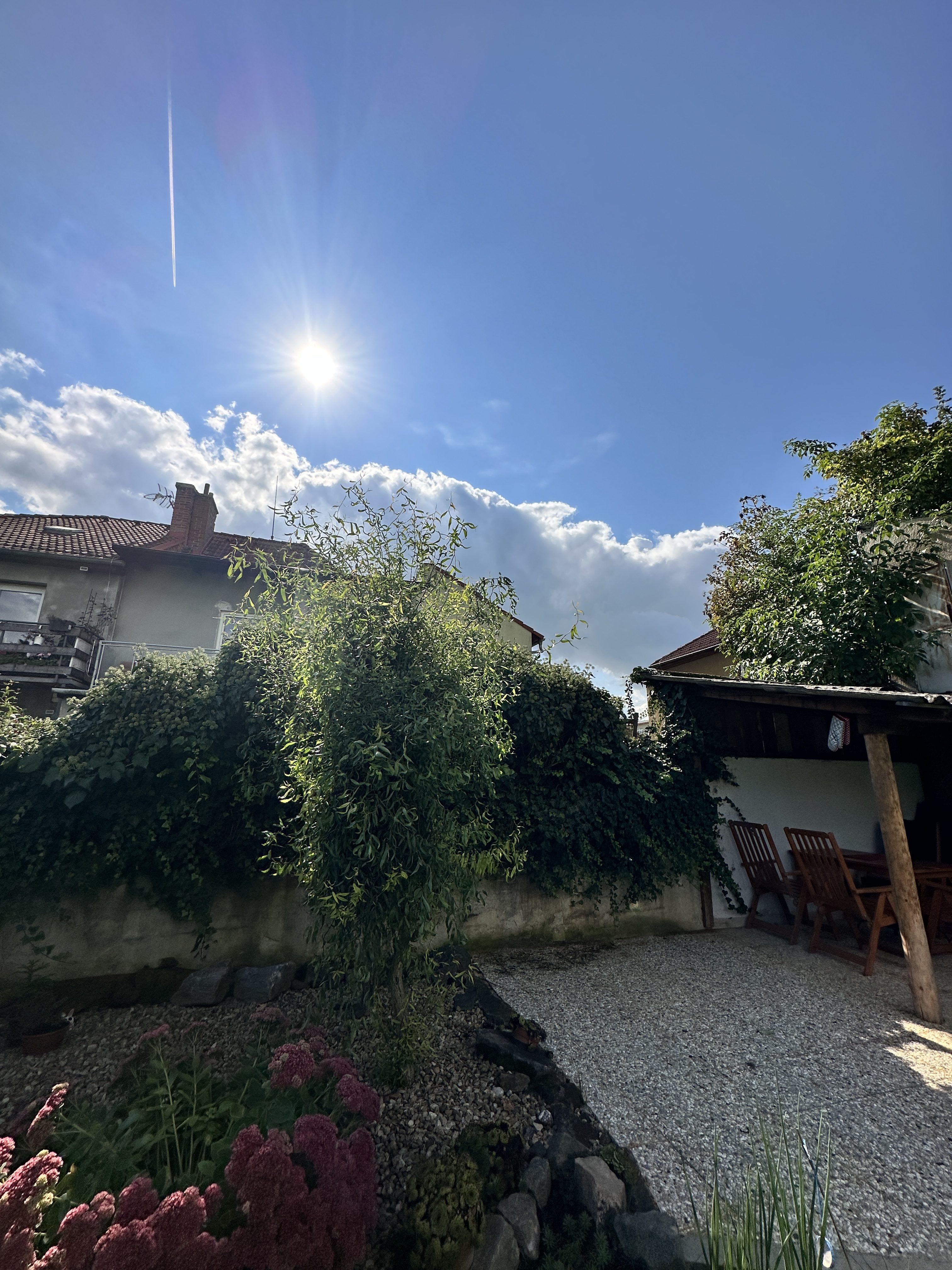 sunny garden patio view