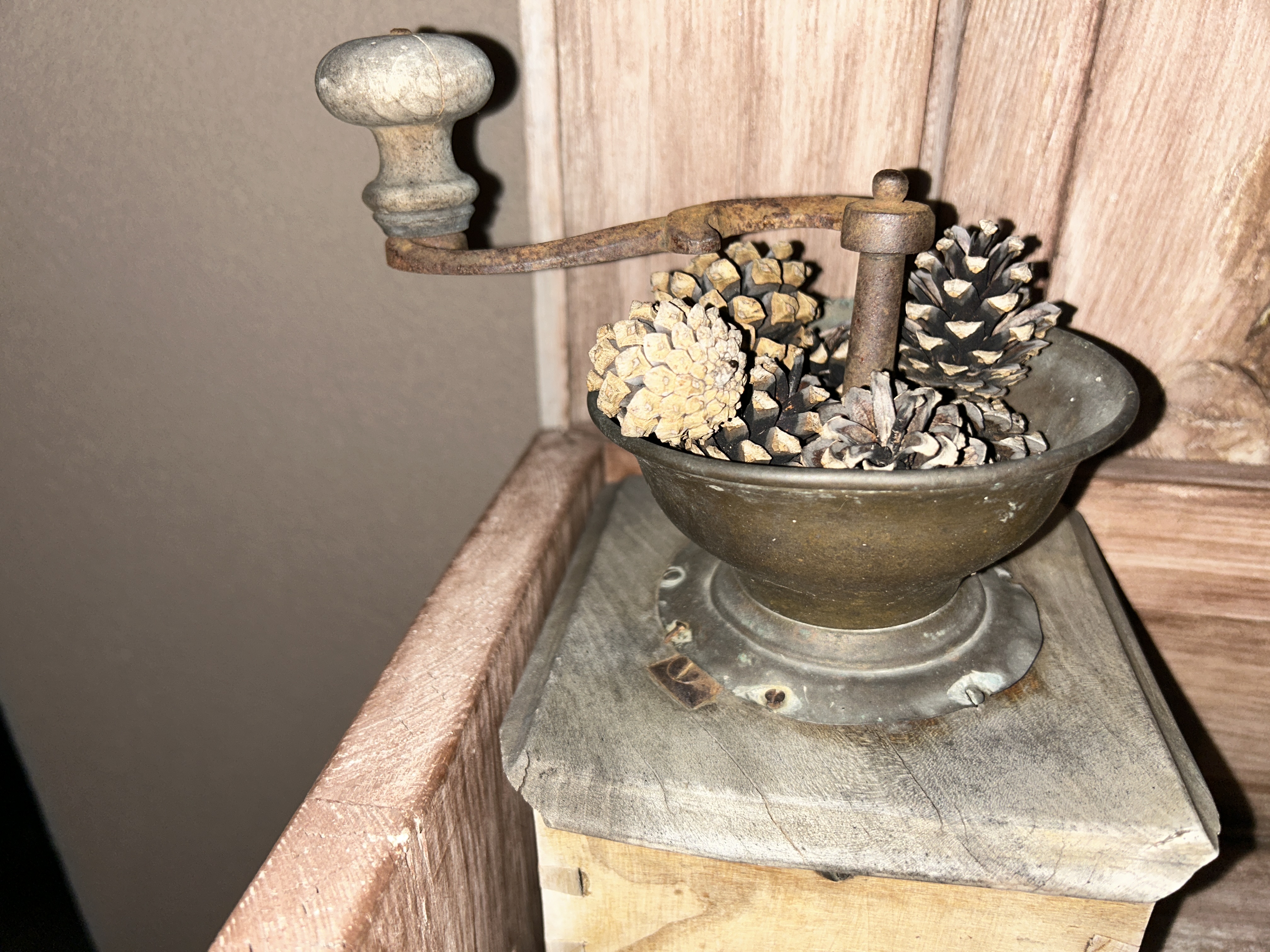 vintage coffee grinder with pinecones bright light