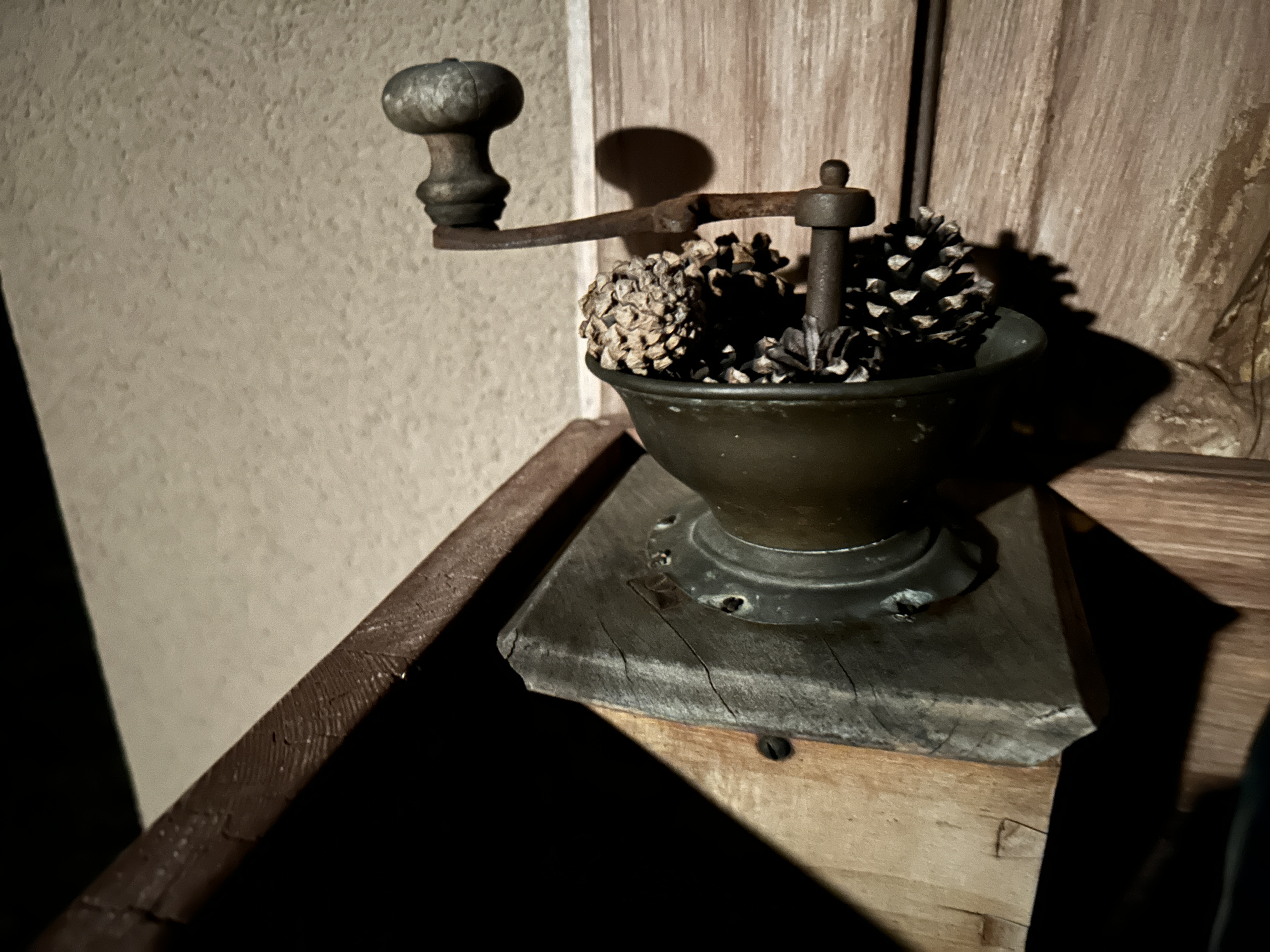 vintage coffee grinder with pinecones dim light