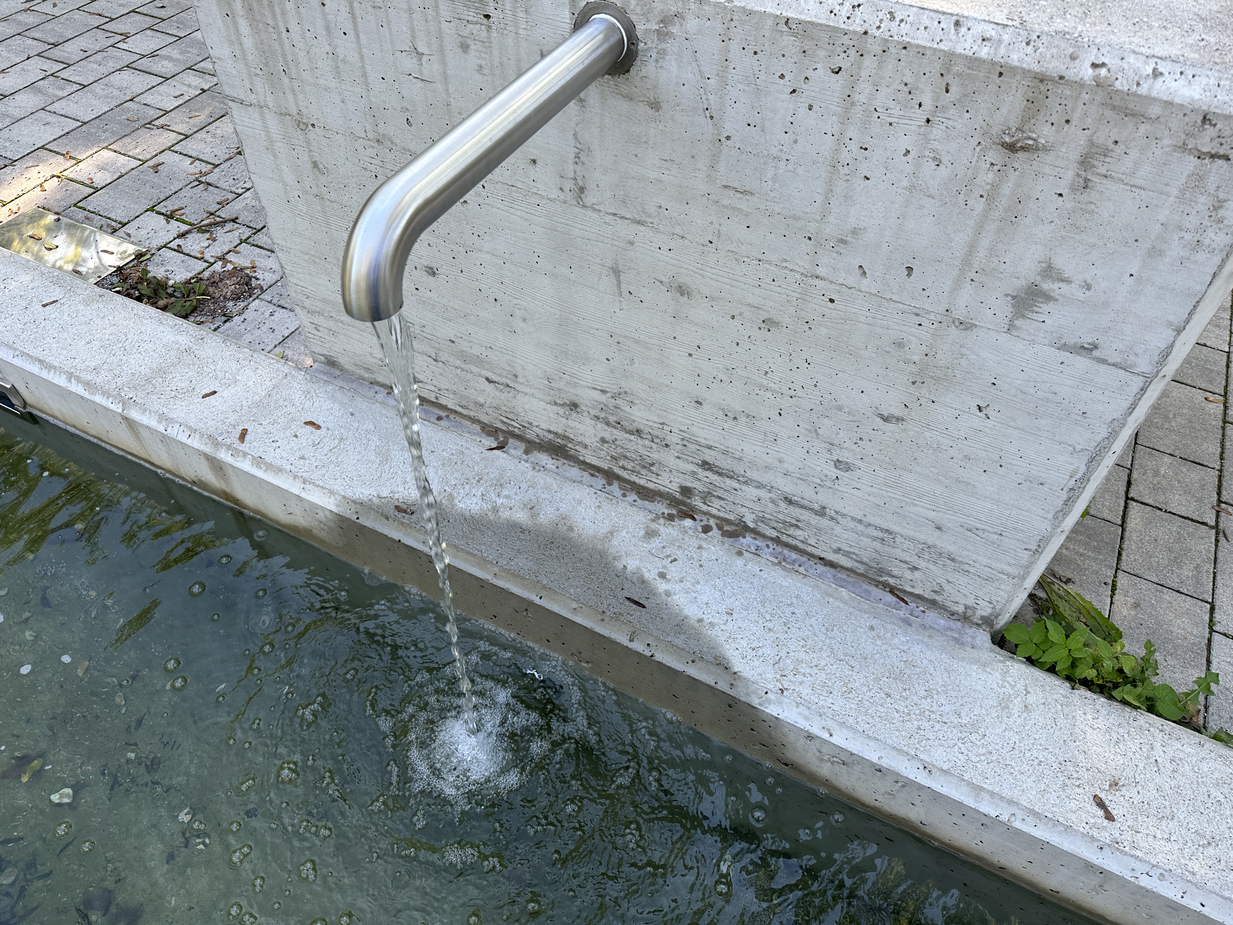 water fountain and pool