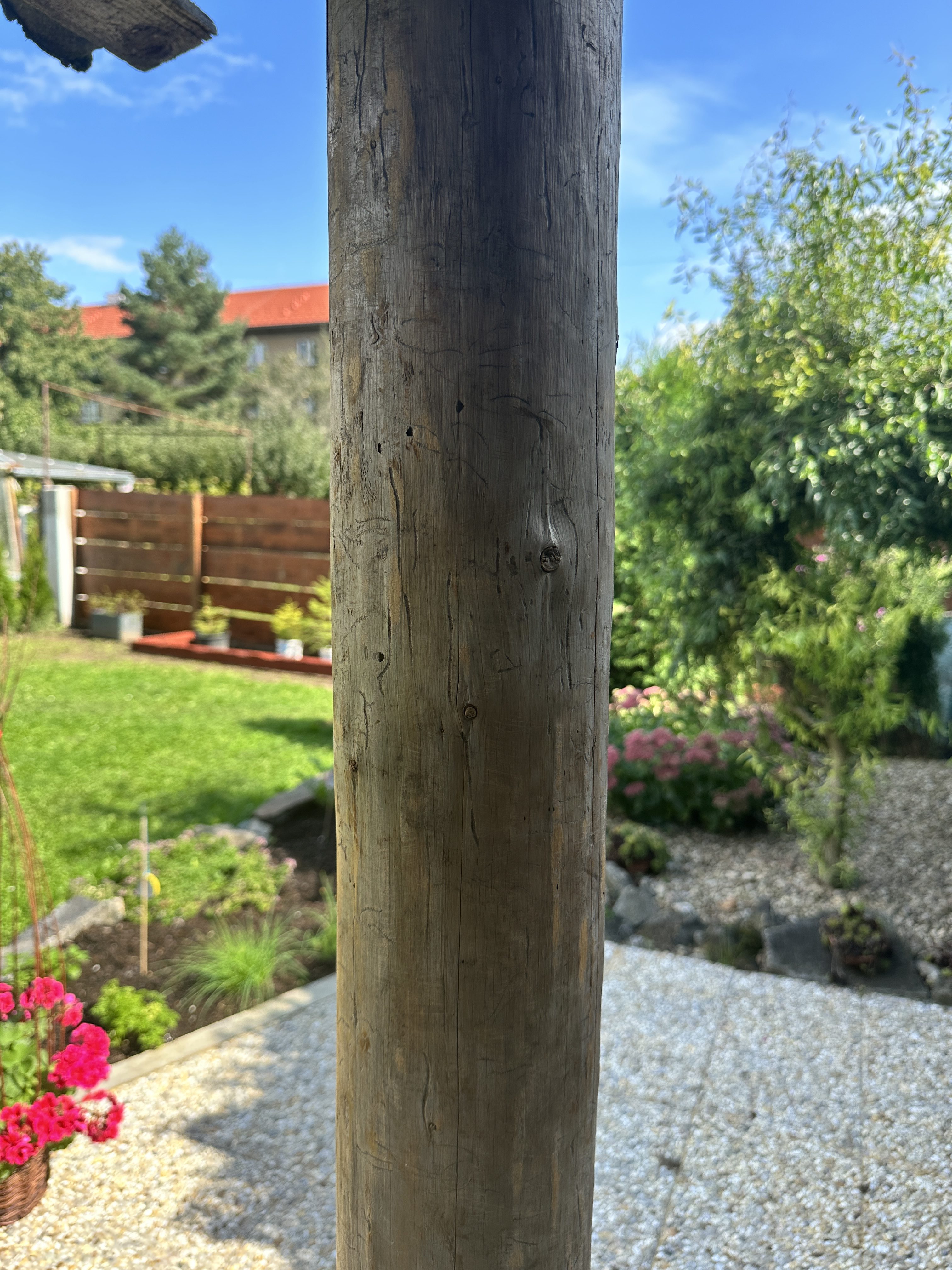 wooden post garden background