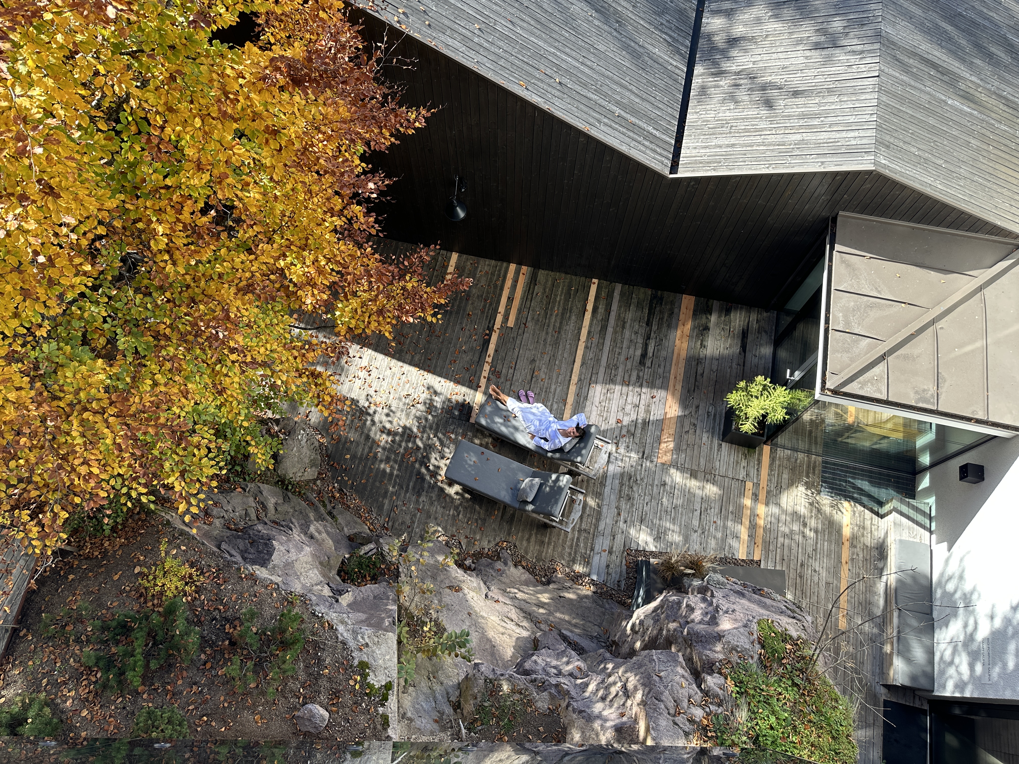 aerial view deck autumn leaves