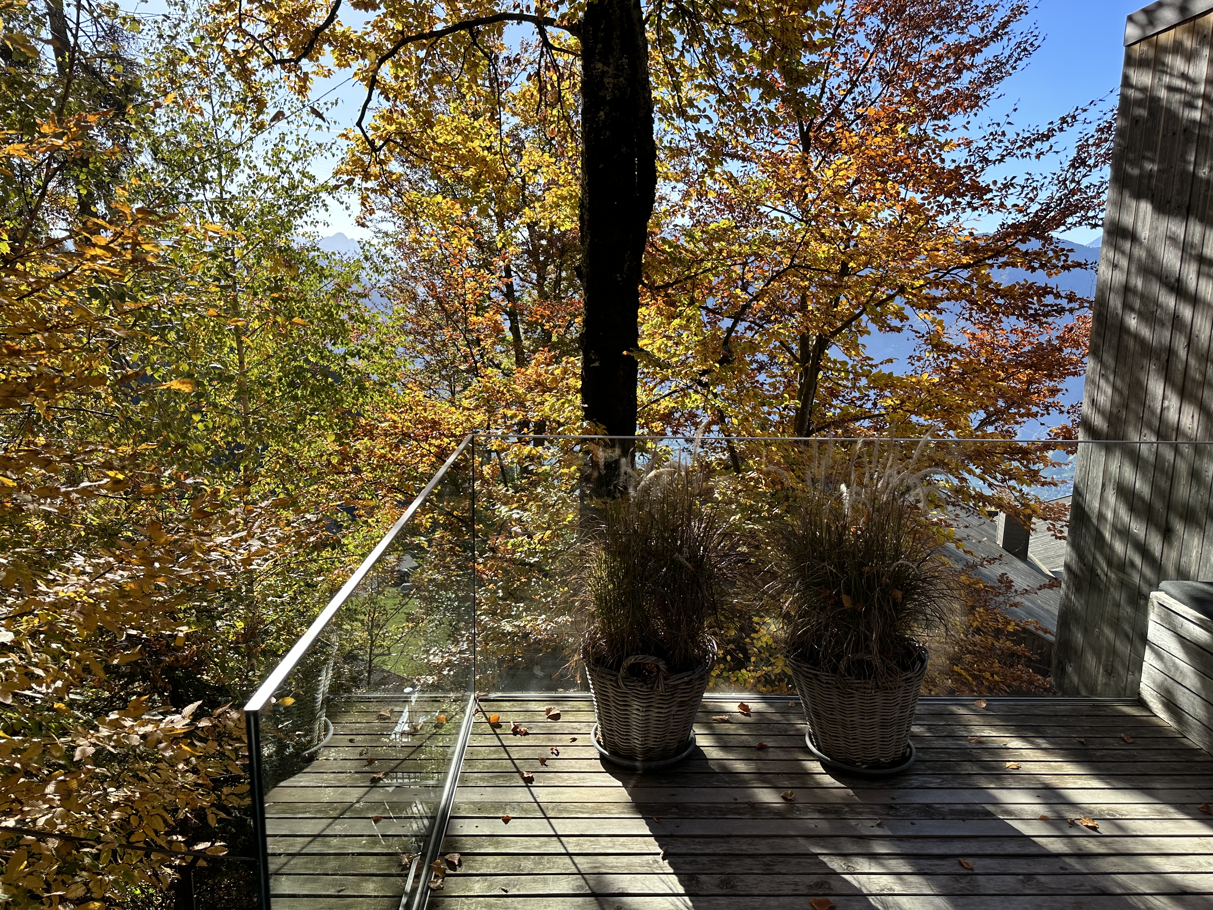autumn balcony view