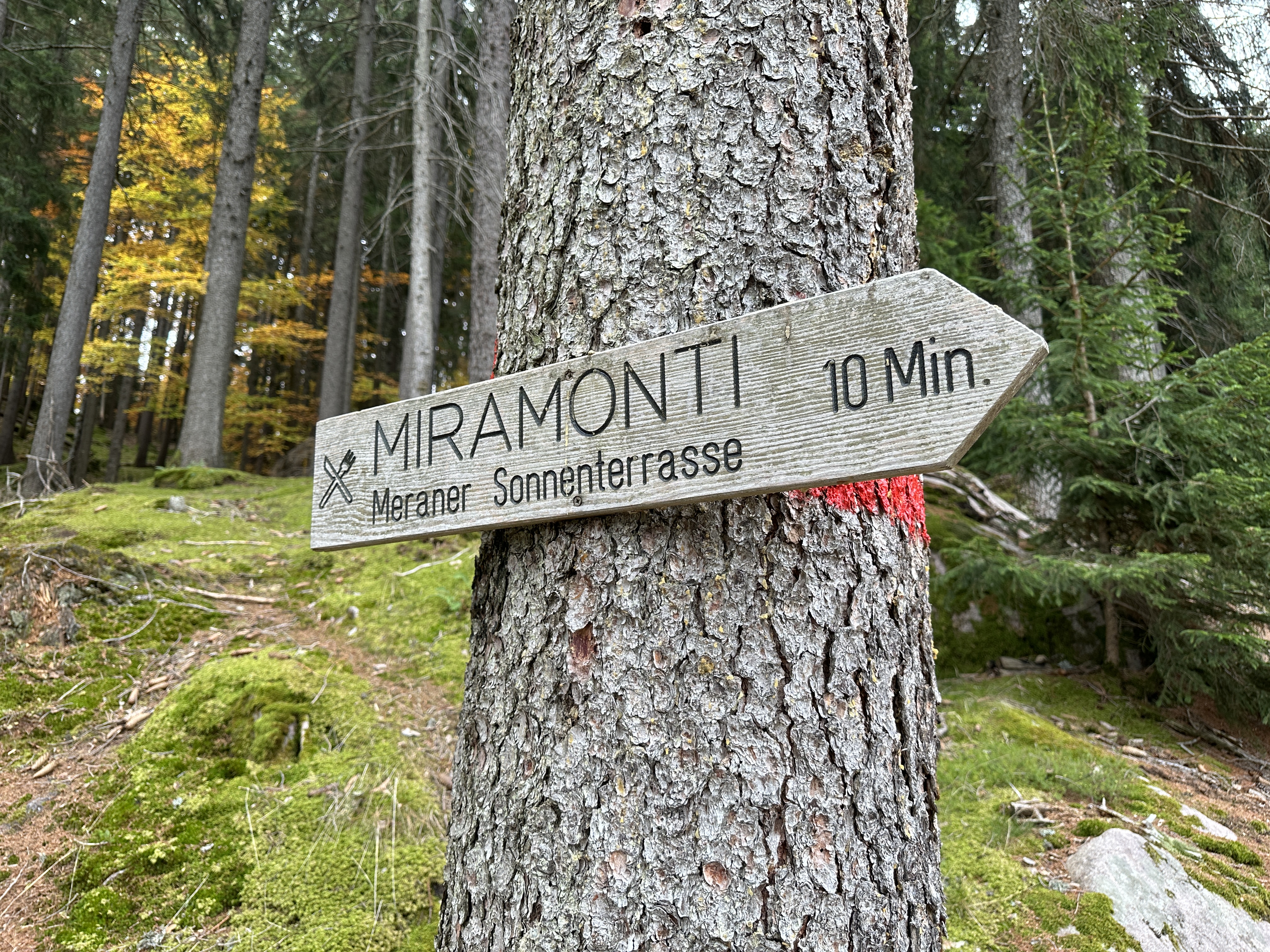 forest sign miramonti