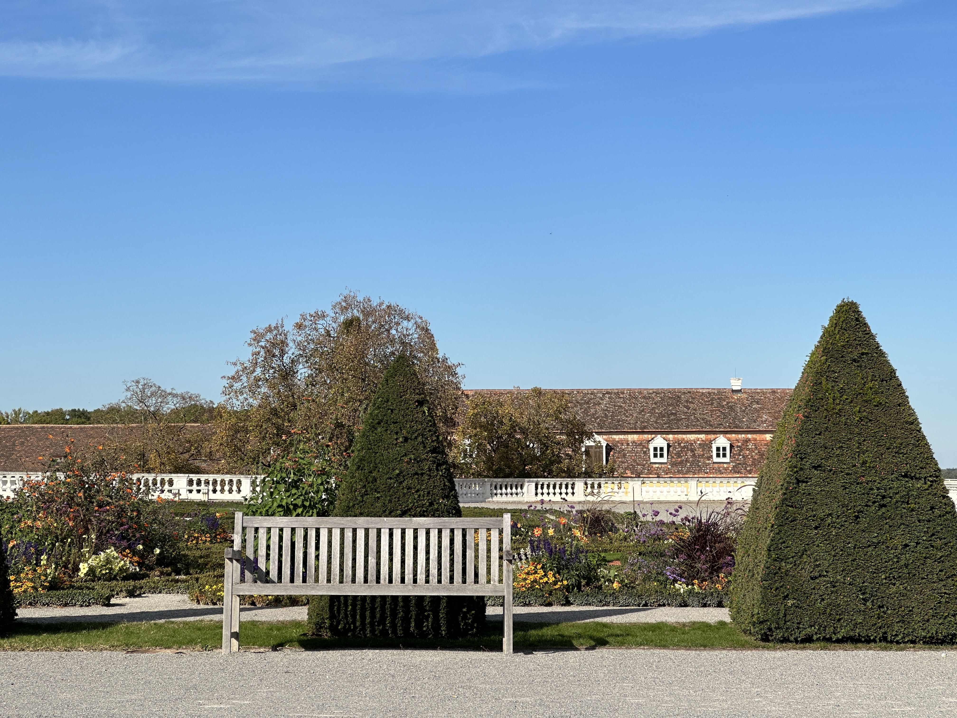 garden bench with trimmed trees