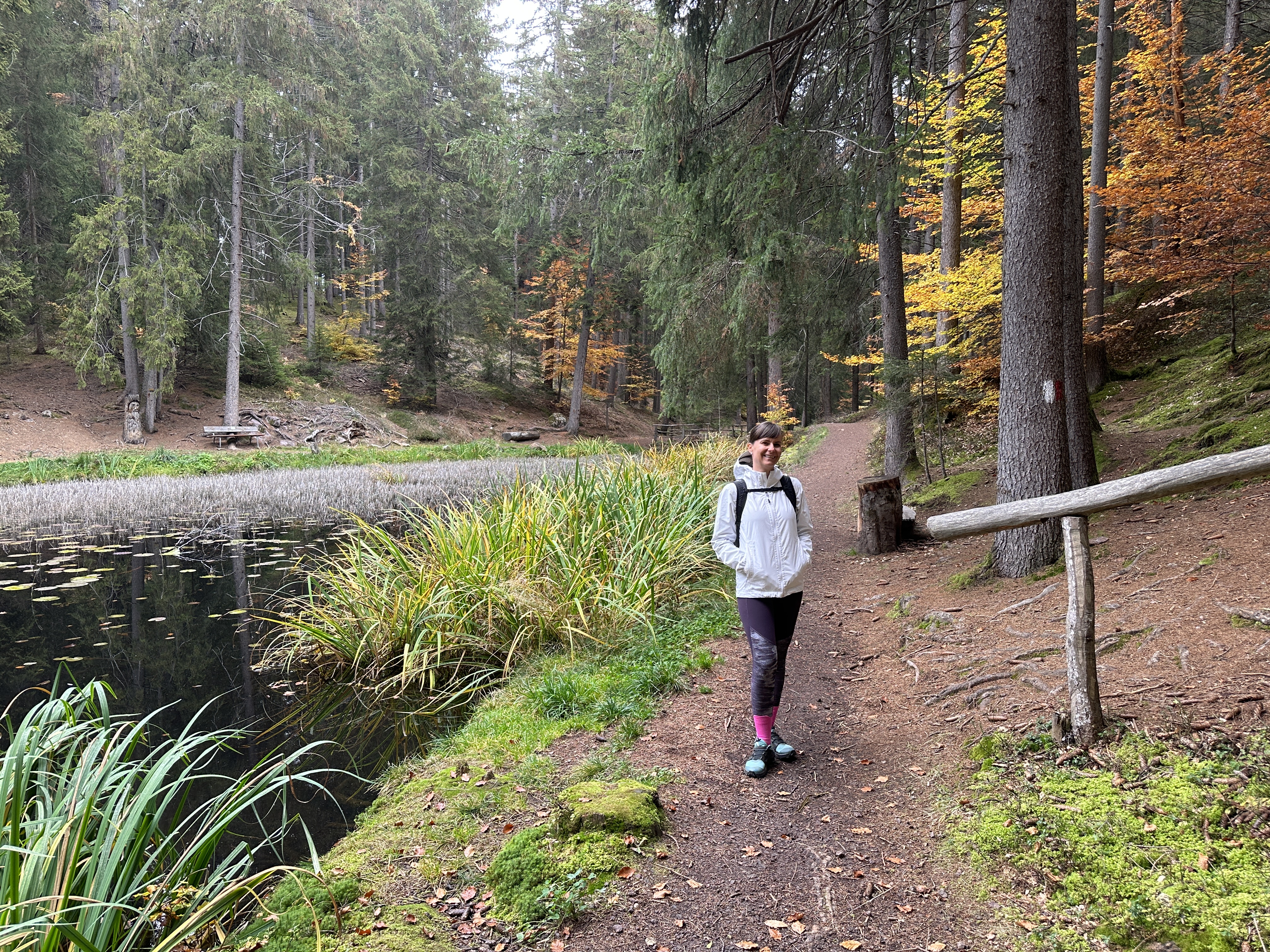 hiker in forest trail