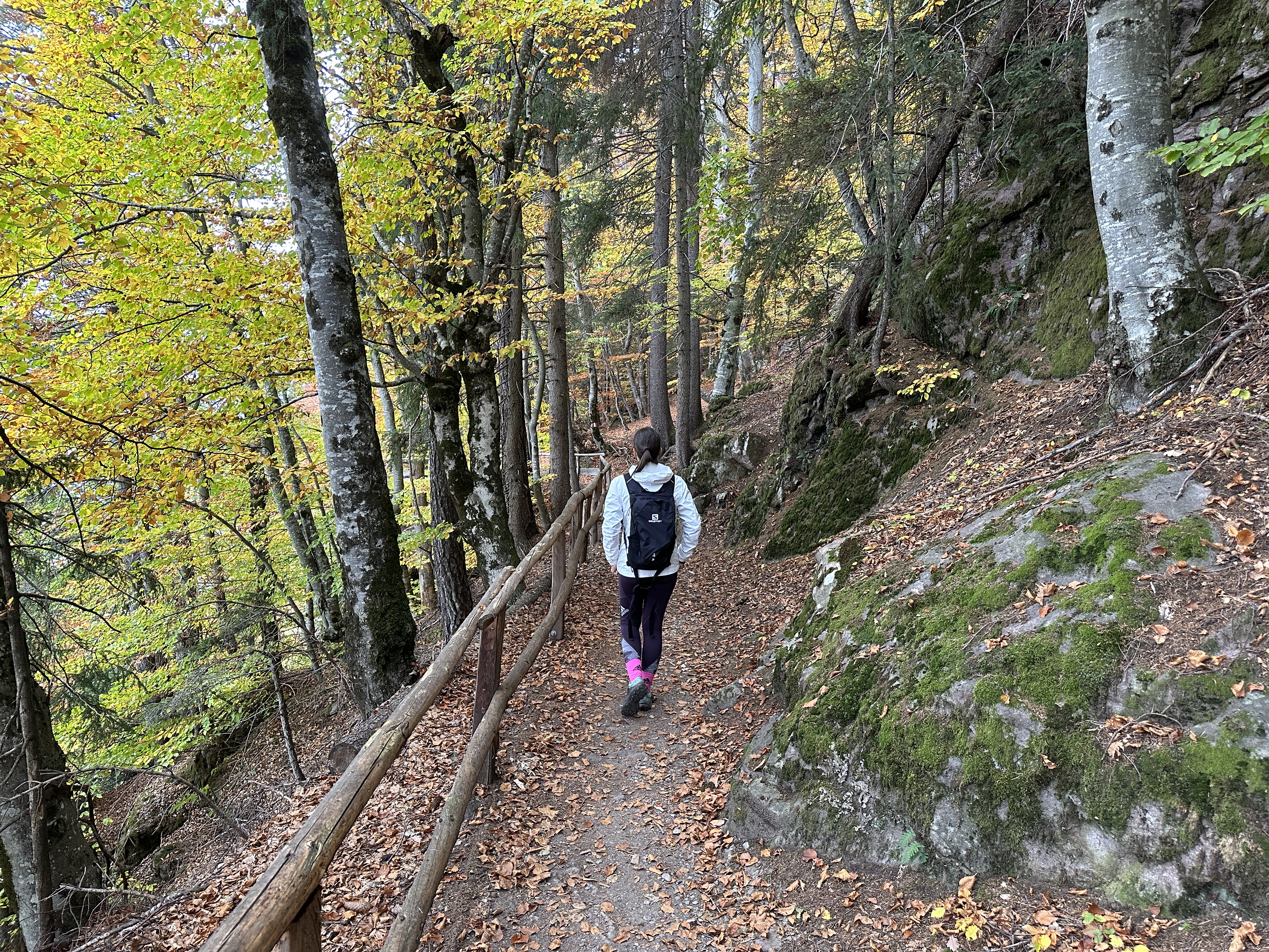 hiker on forest path