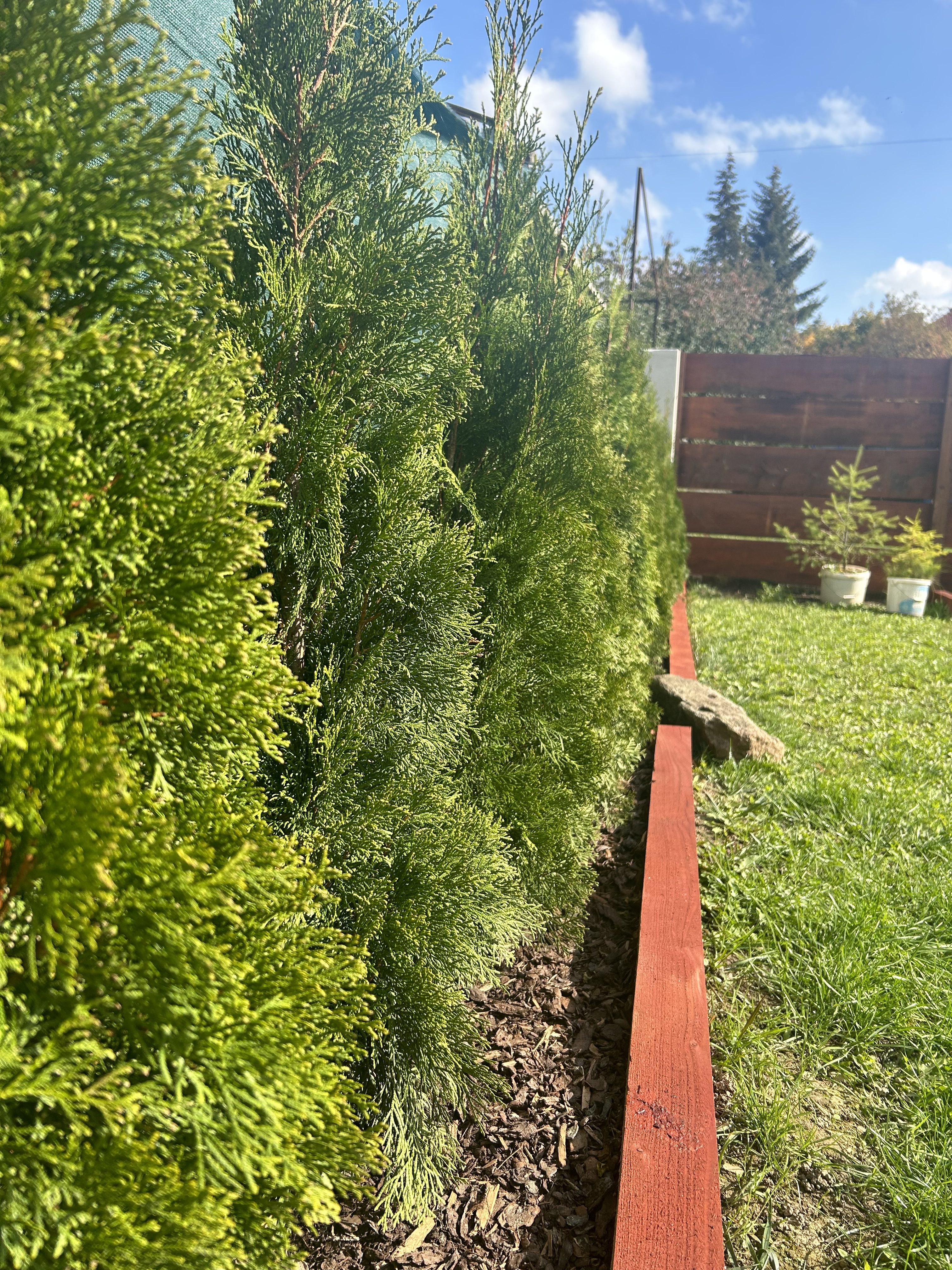 iPhone 14 Plus fotky 8