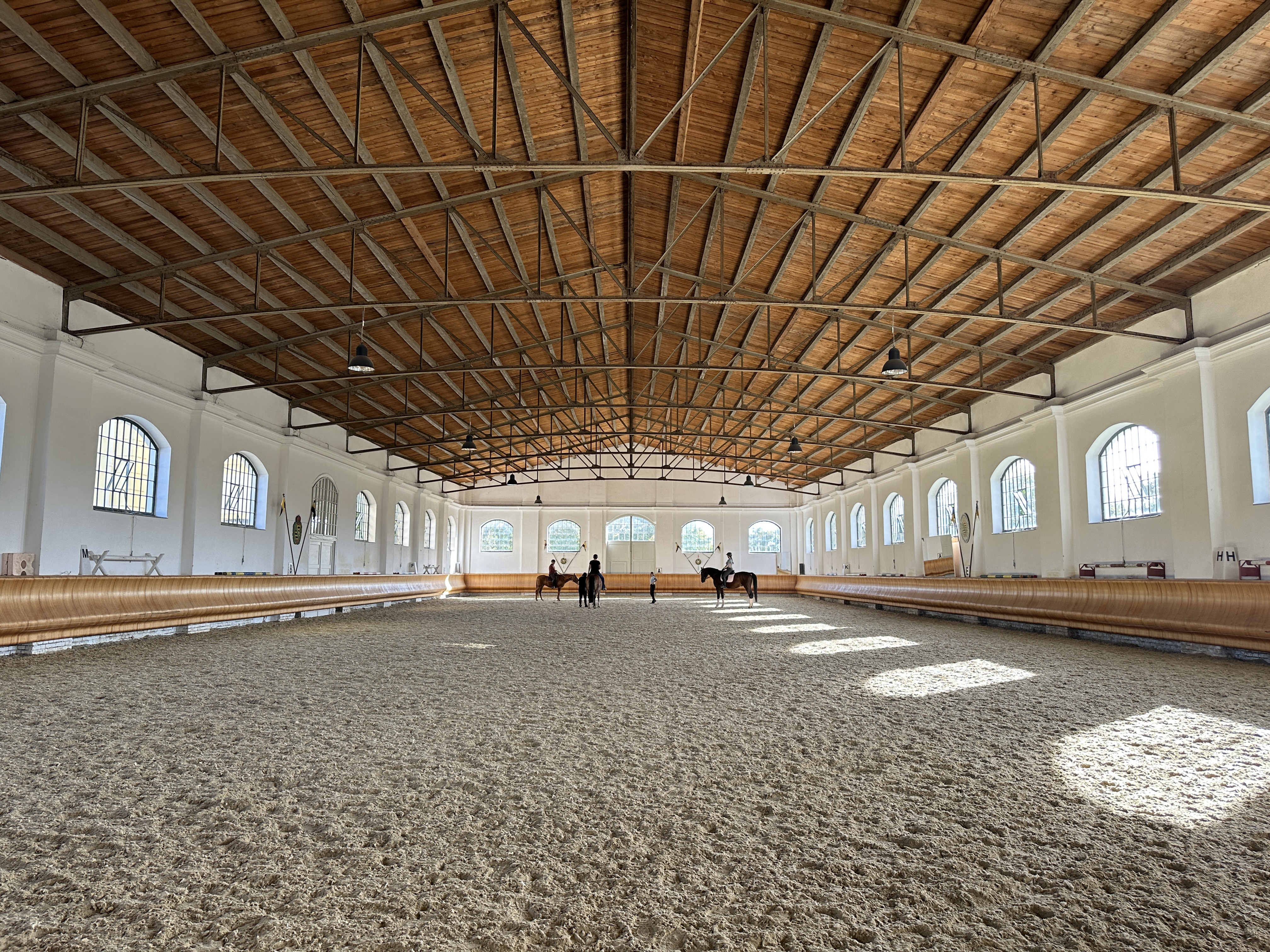 indoor equestrian arena with horses