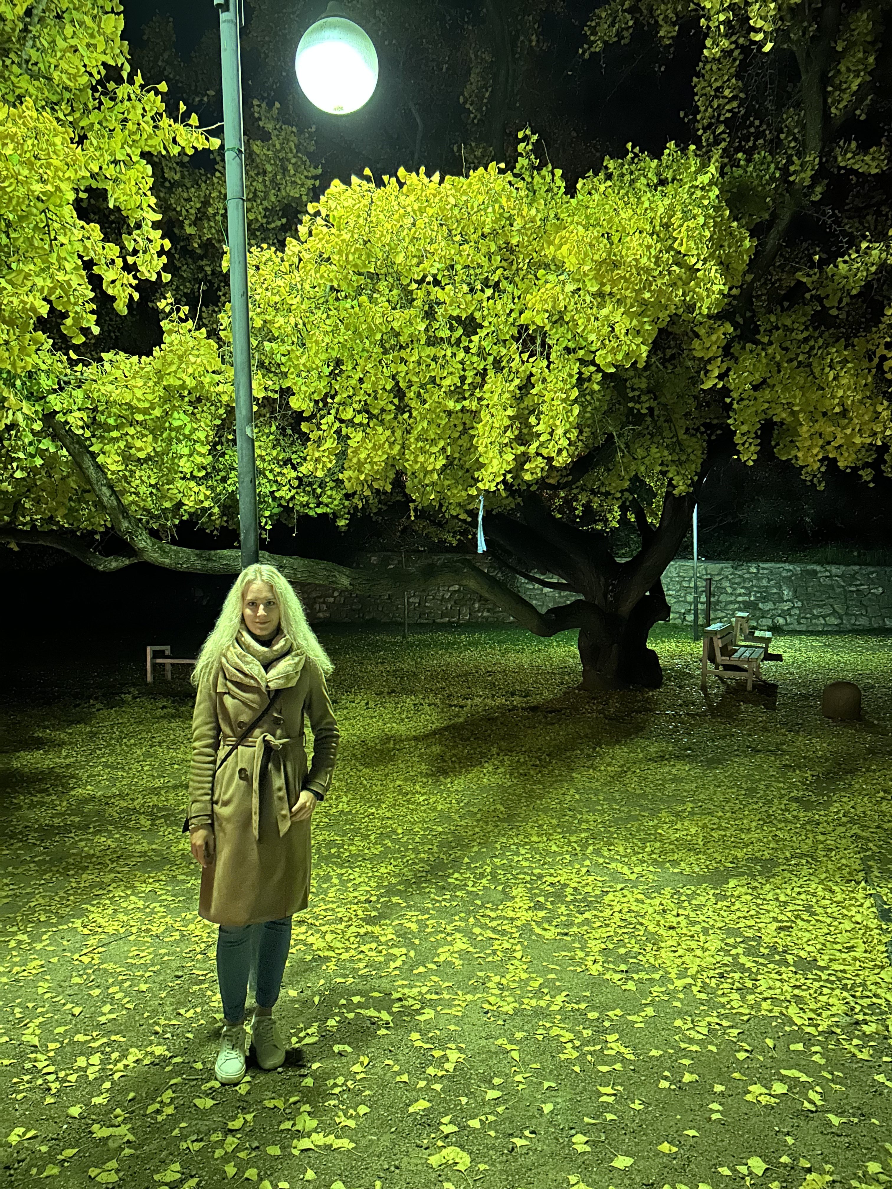 iphone 14 plus noc 9