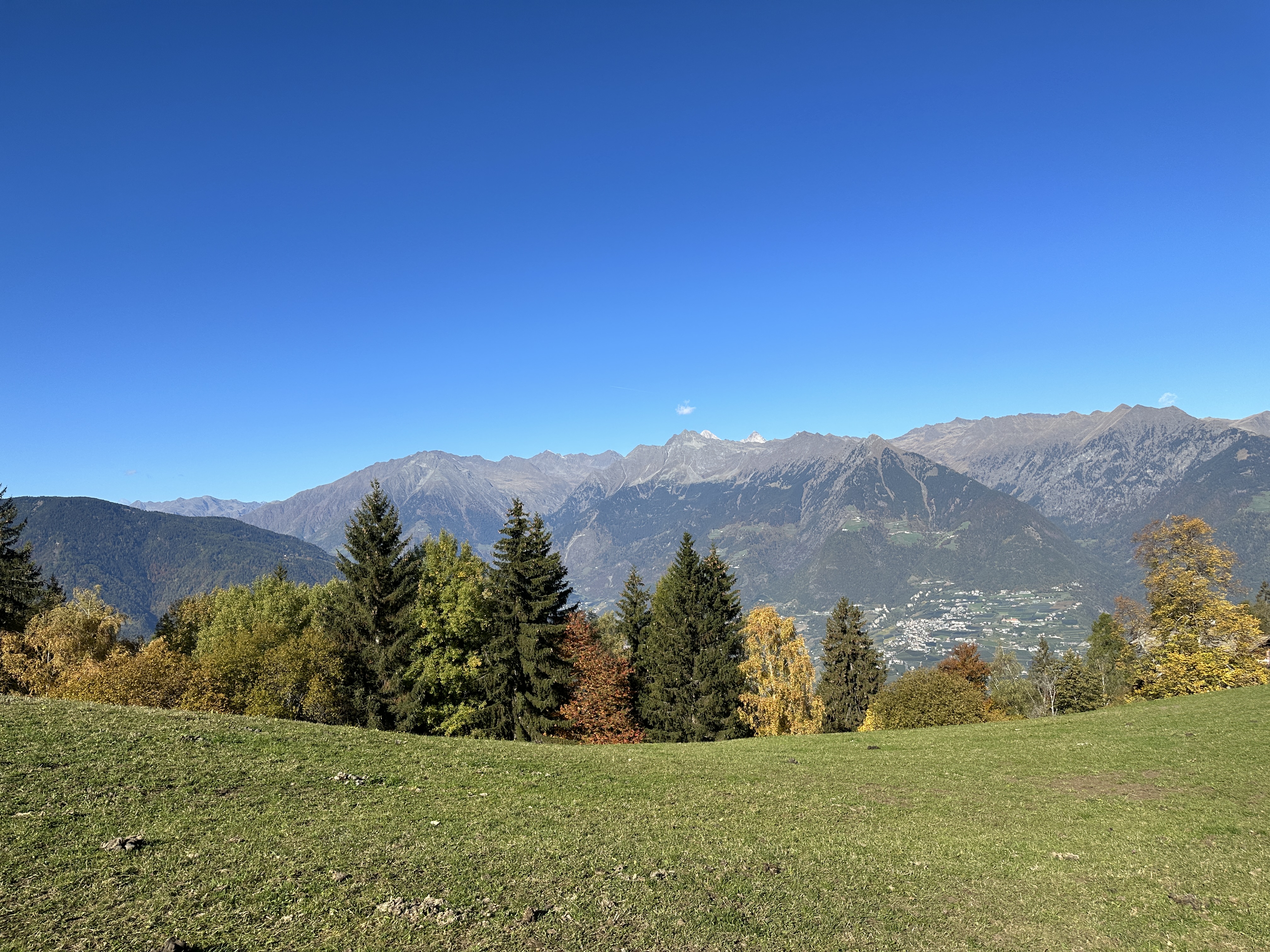 open field mountain view