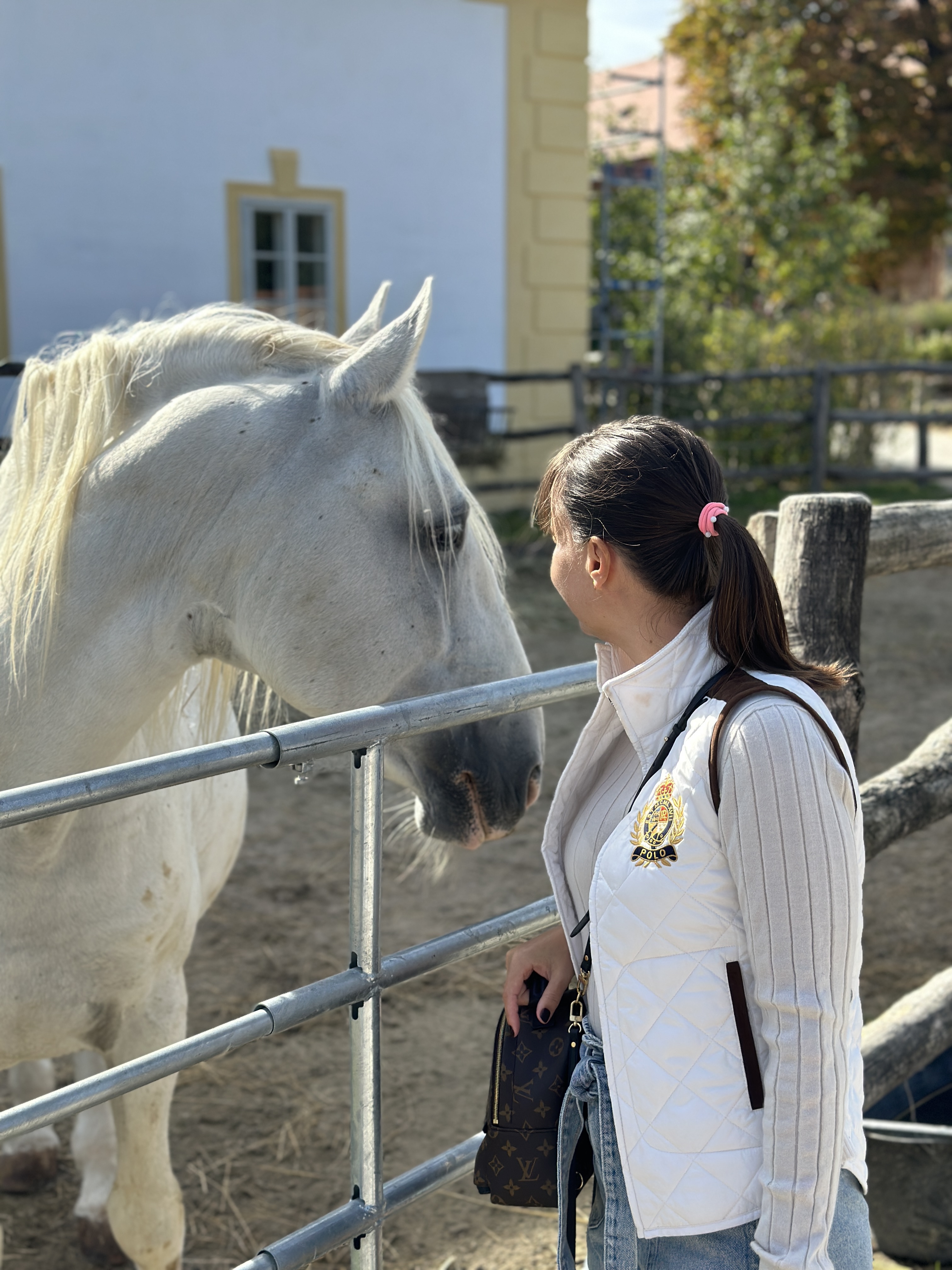 person with white horse