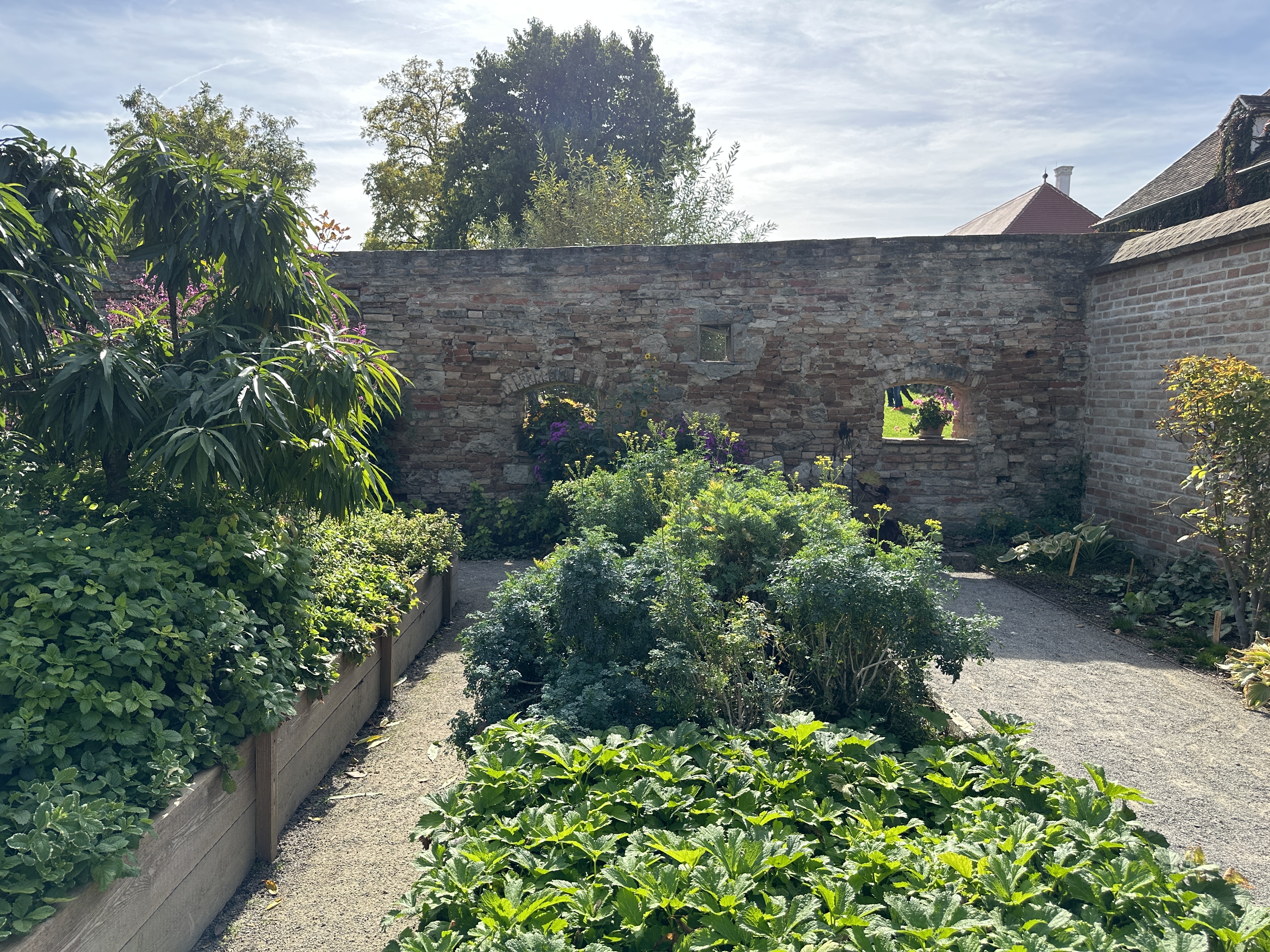 vegetable garden with wall