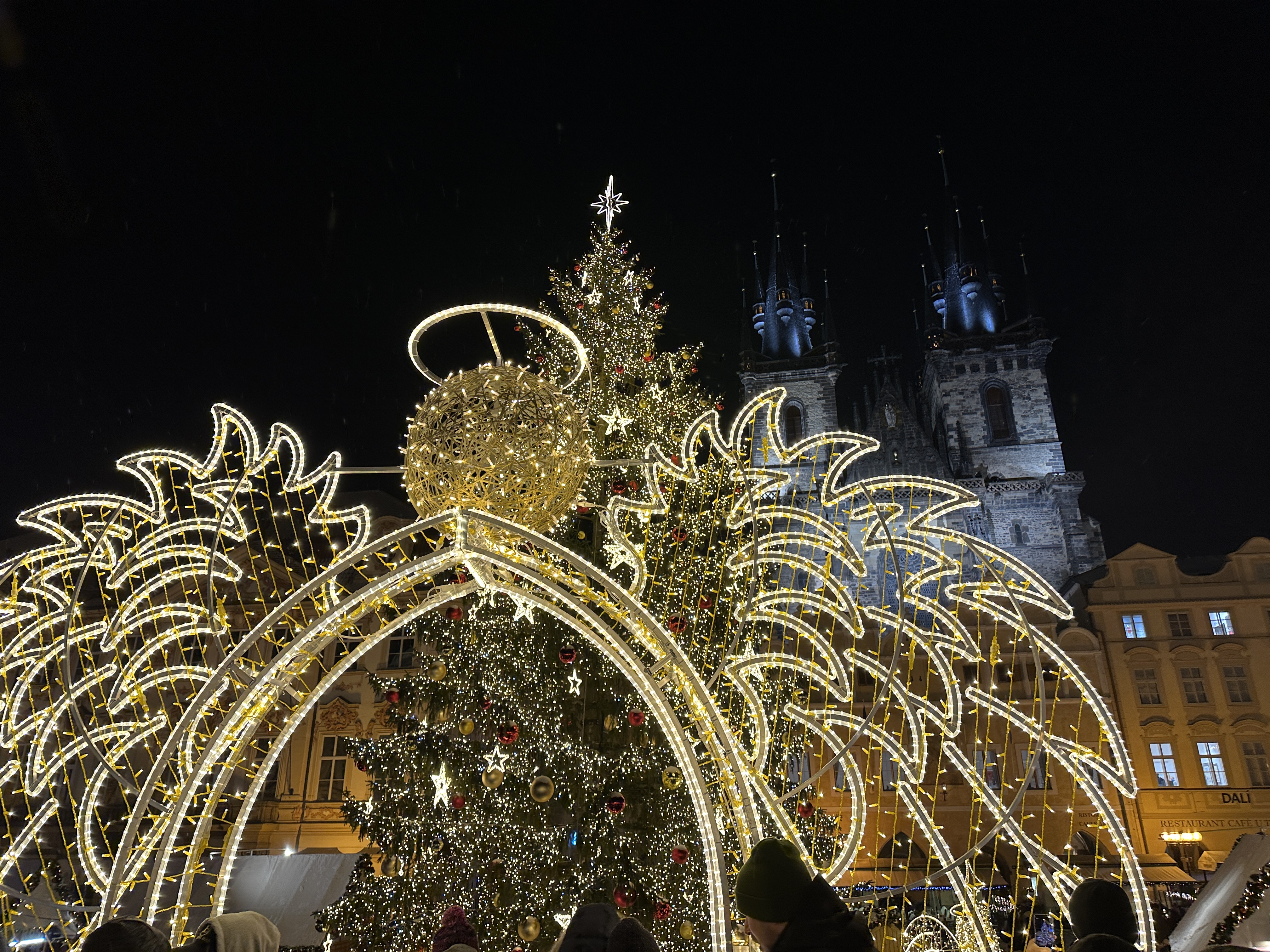 christmas tree light display