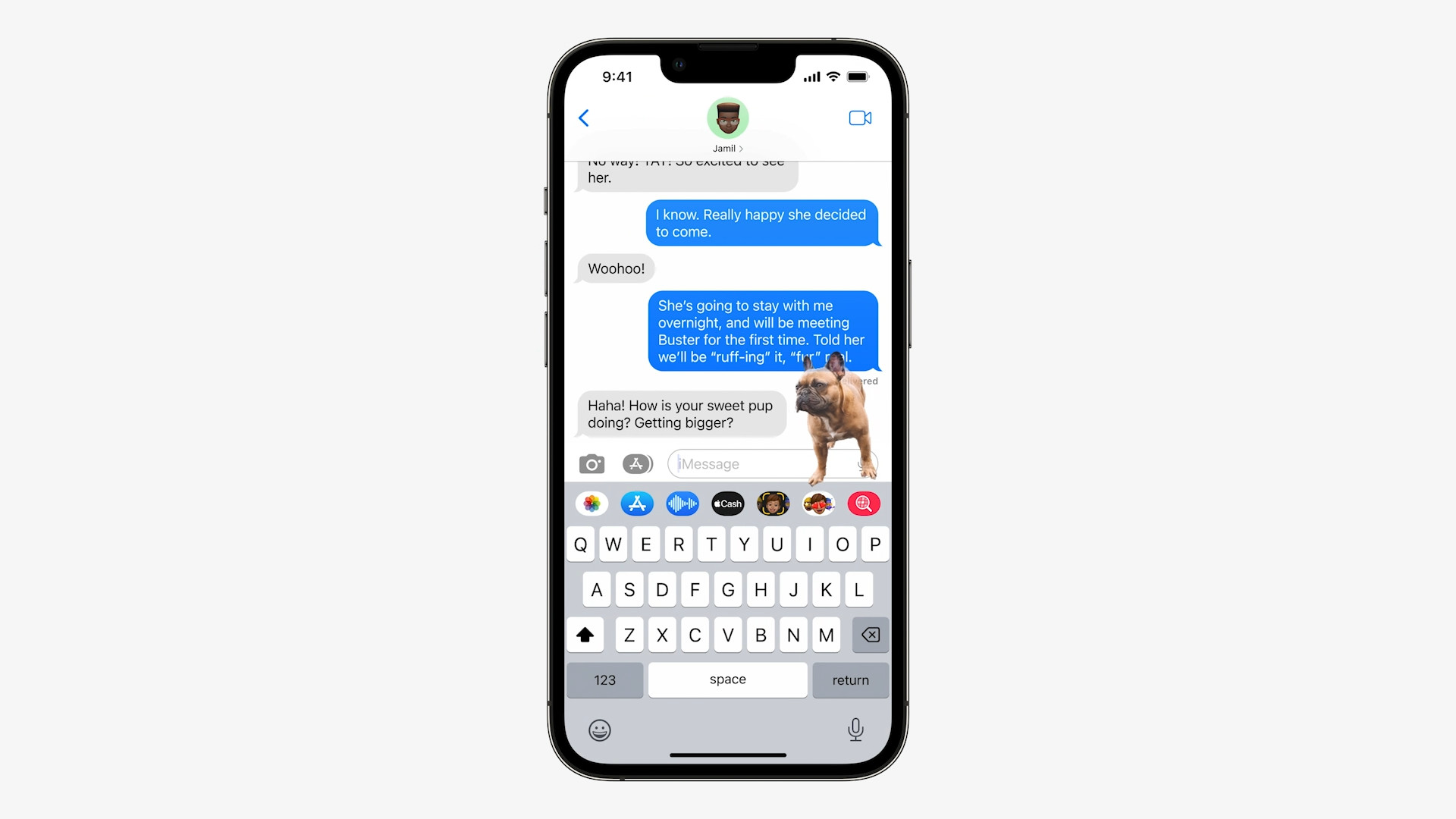 imessage french bulldog chat