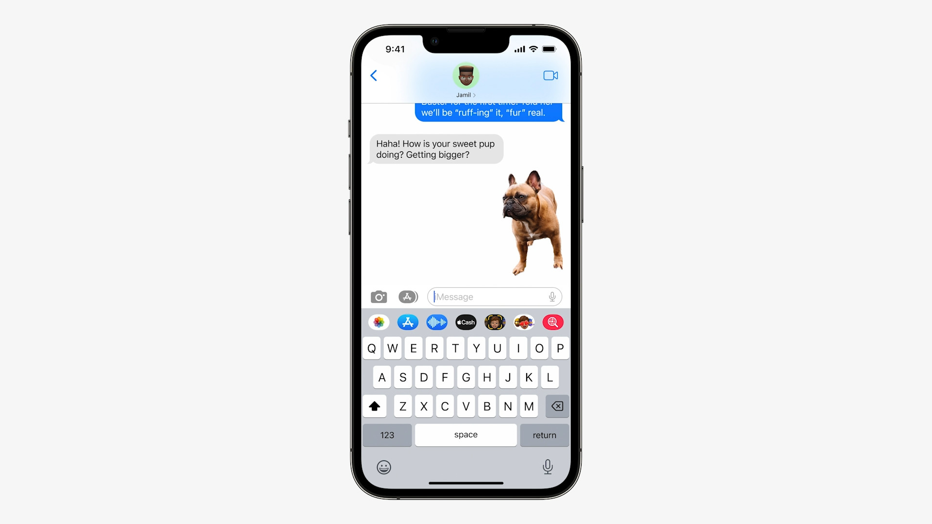 imessage french bulldog received