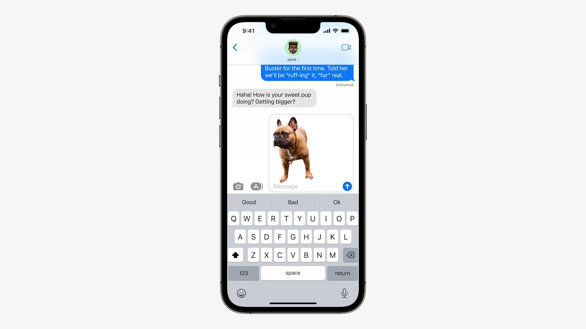 imessage french bulldog sent