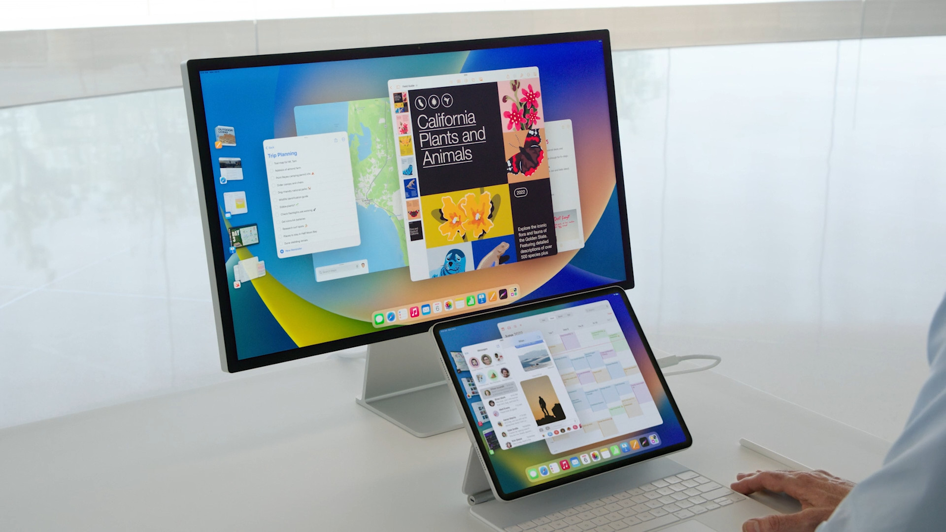 ipad and monitor setup