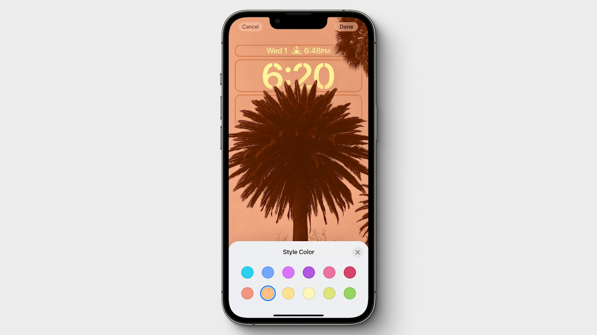 iphone lockscreen palm tree orange