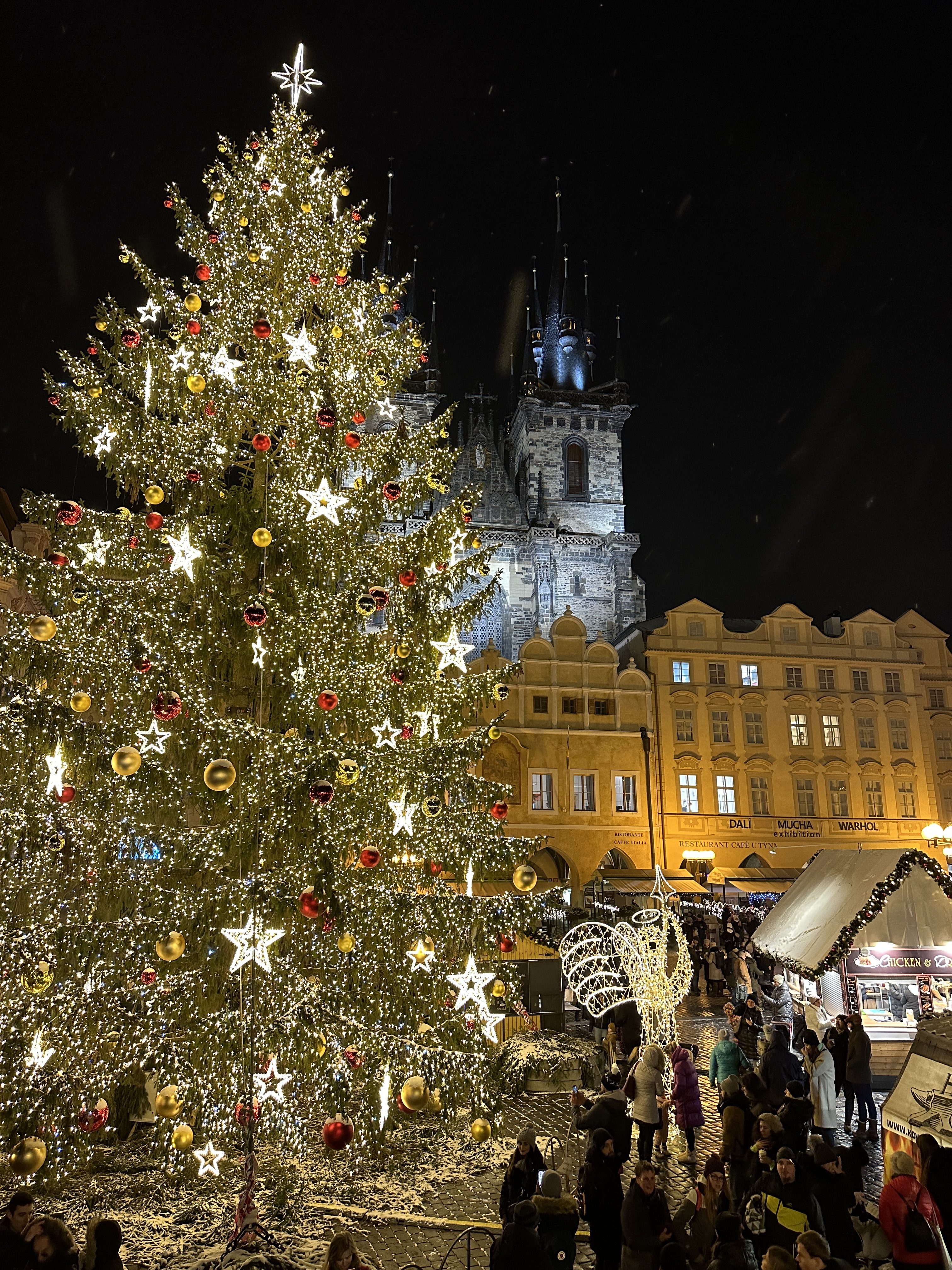 large christmas tree at night