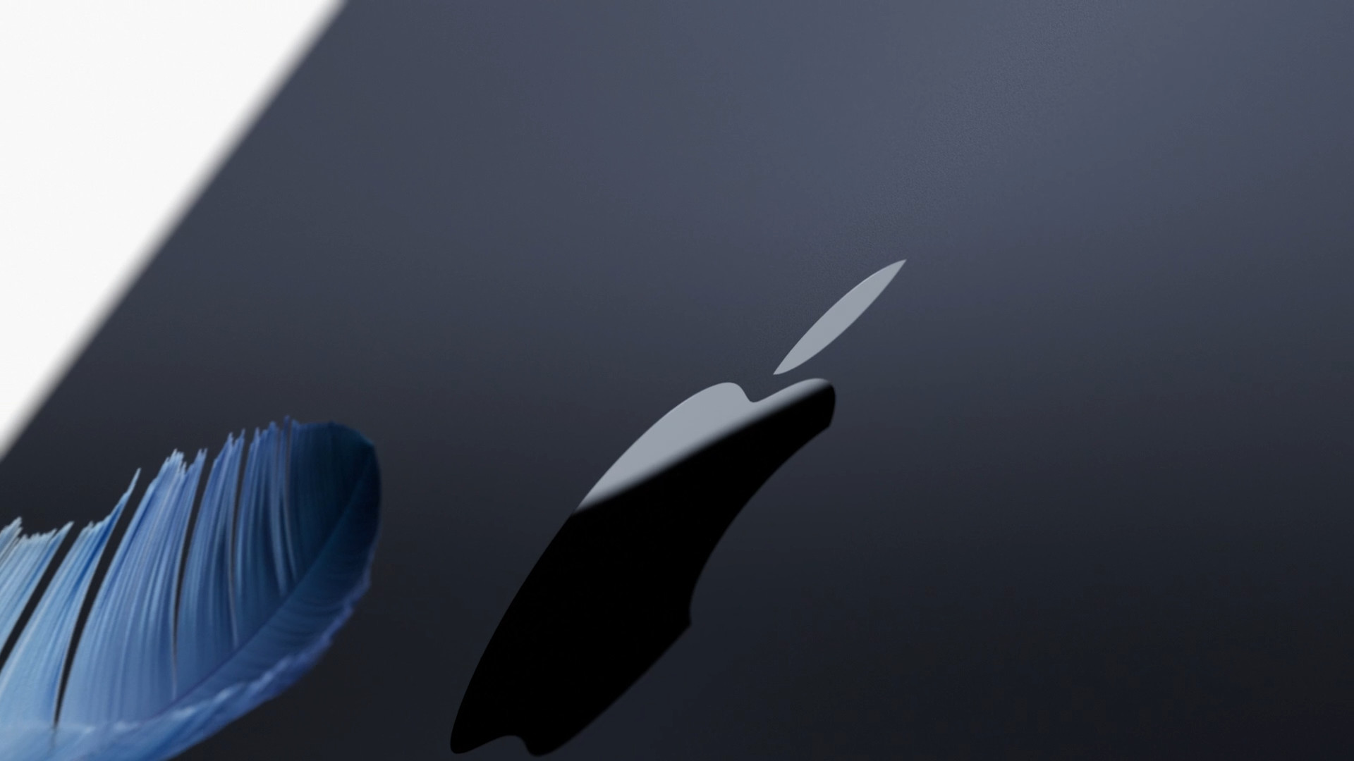 macbook air design feather