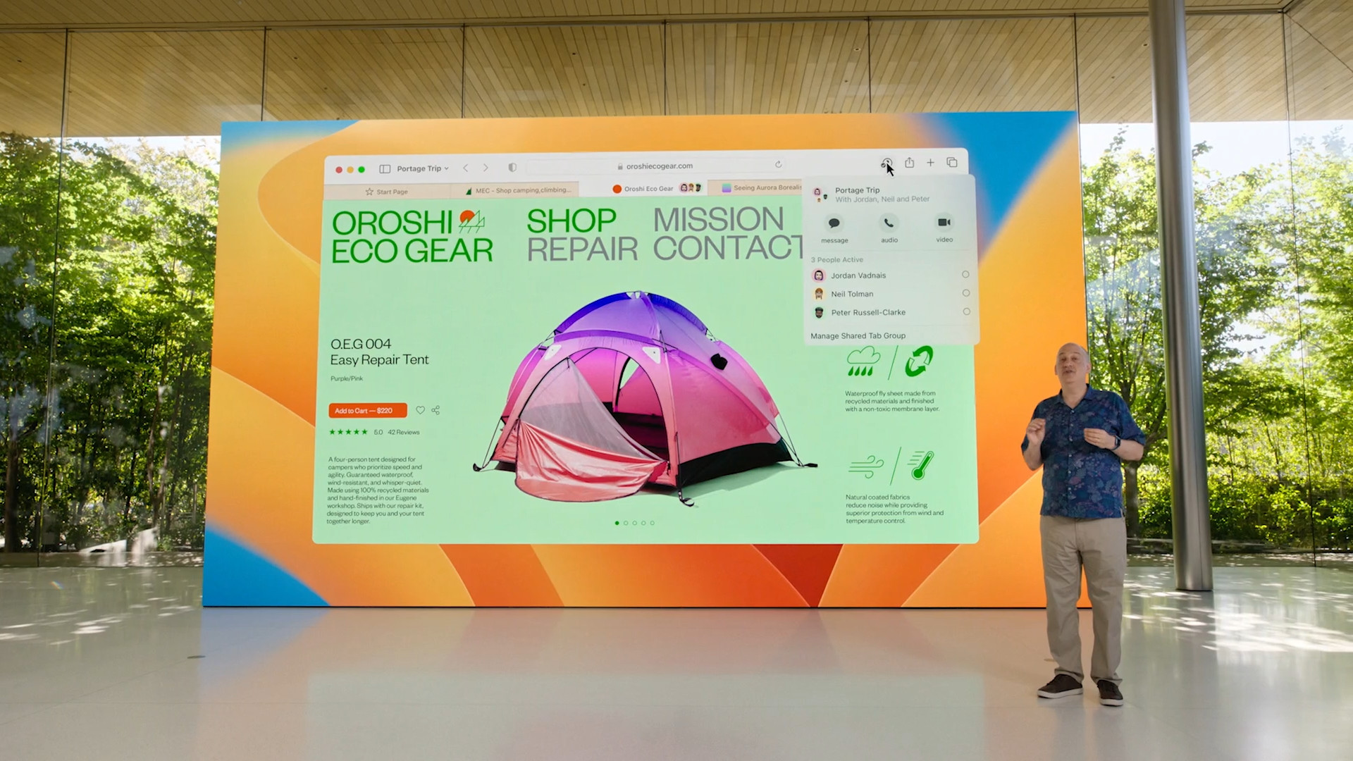 presentation website display