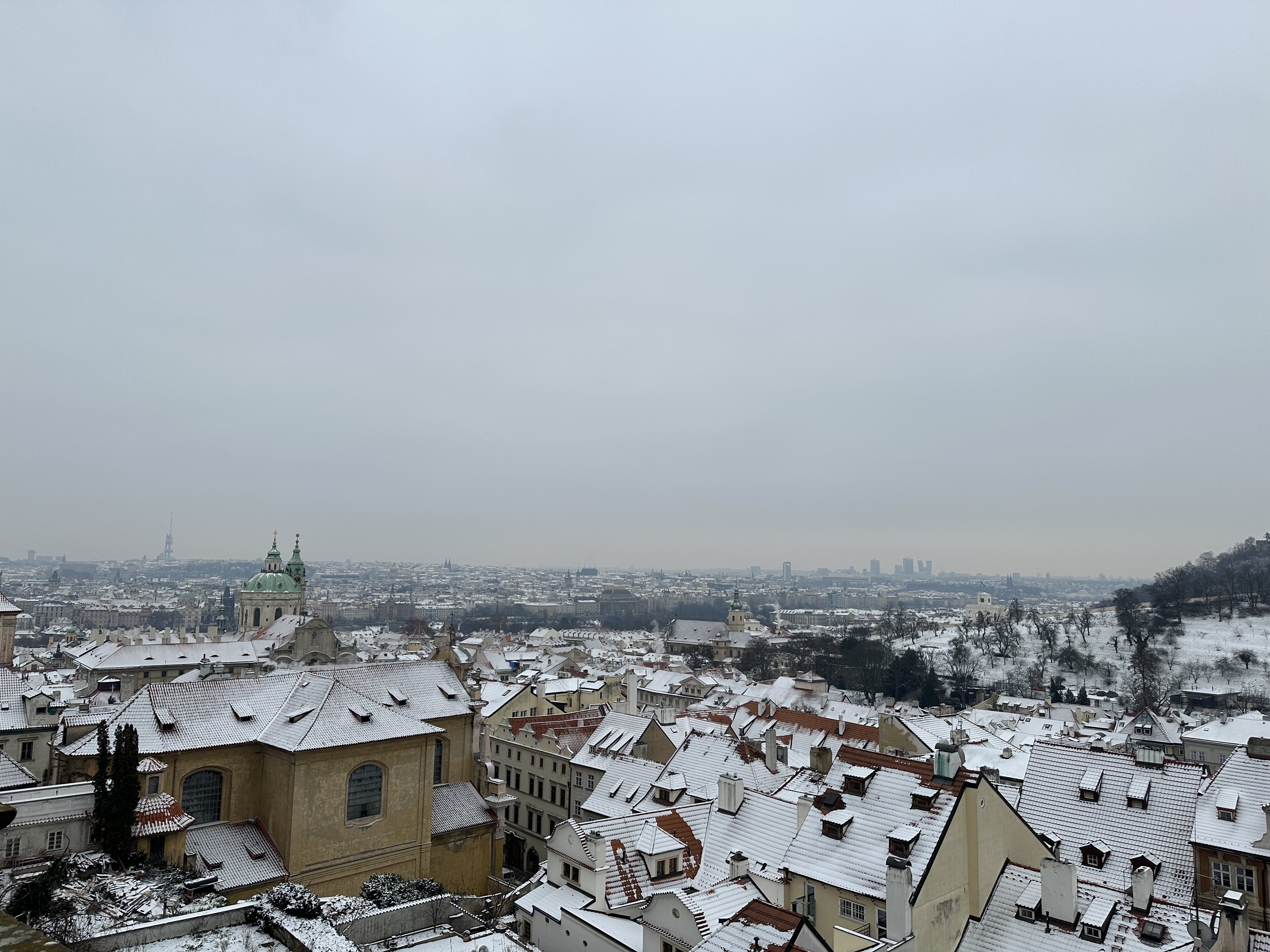 snowy rooftops cityscape