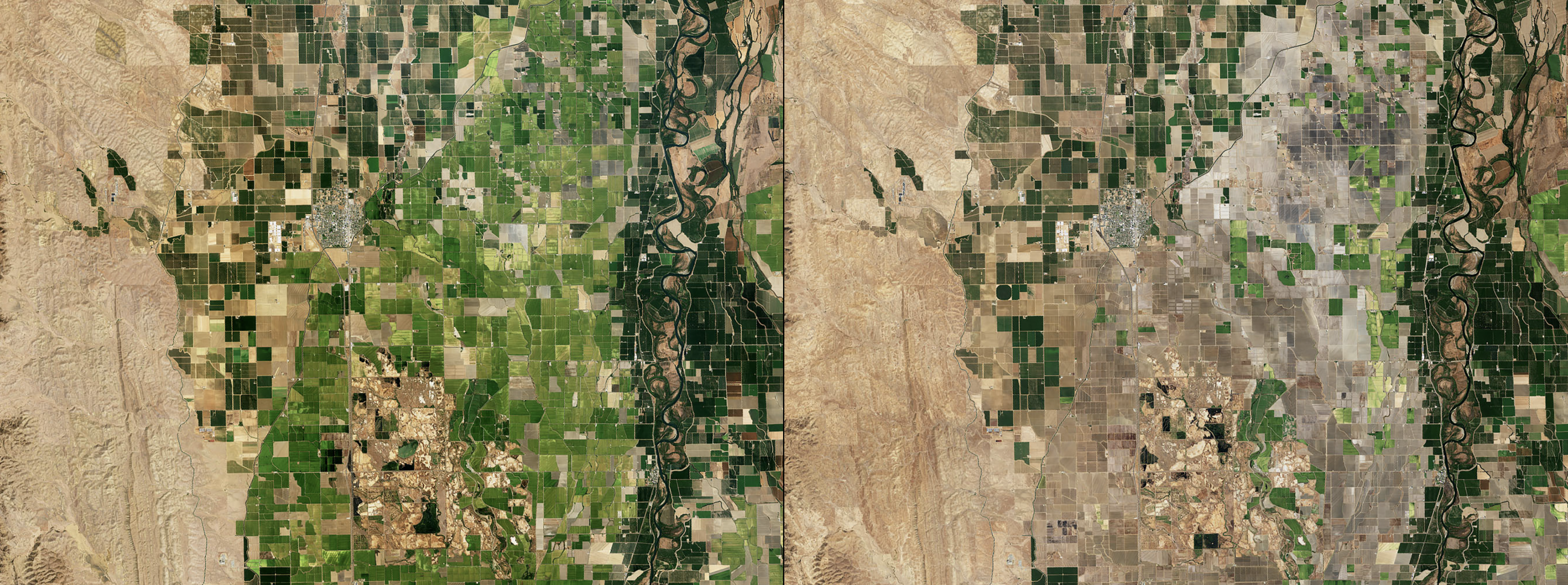 agricultural landscape change