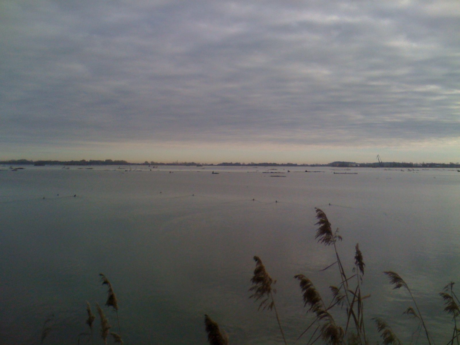 calm lake overcast sky closeup