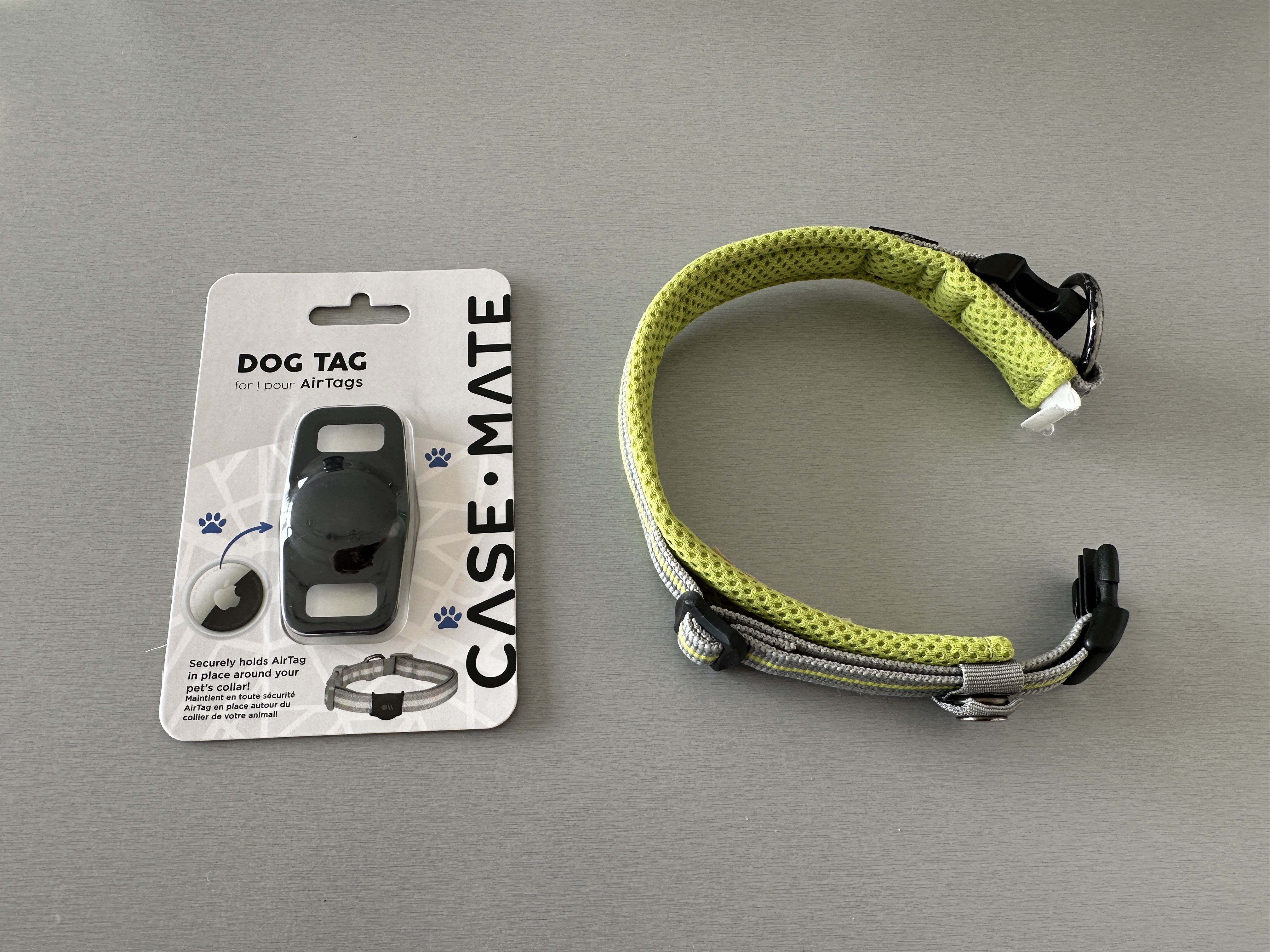 case mate dog tag and collar