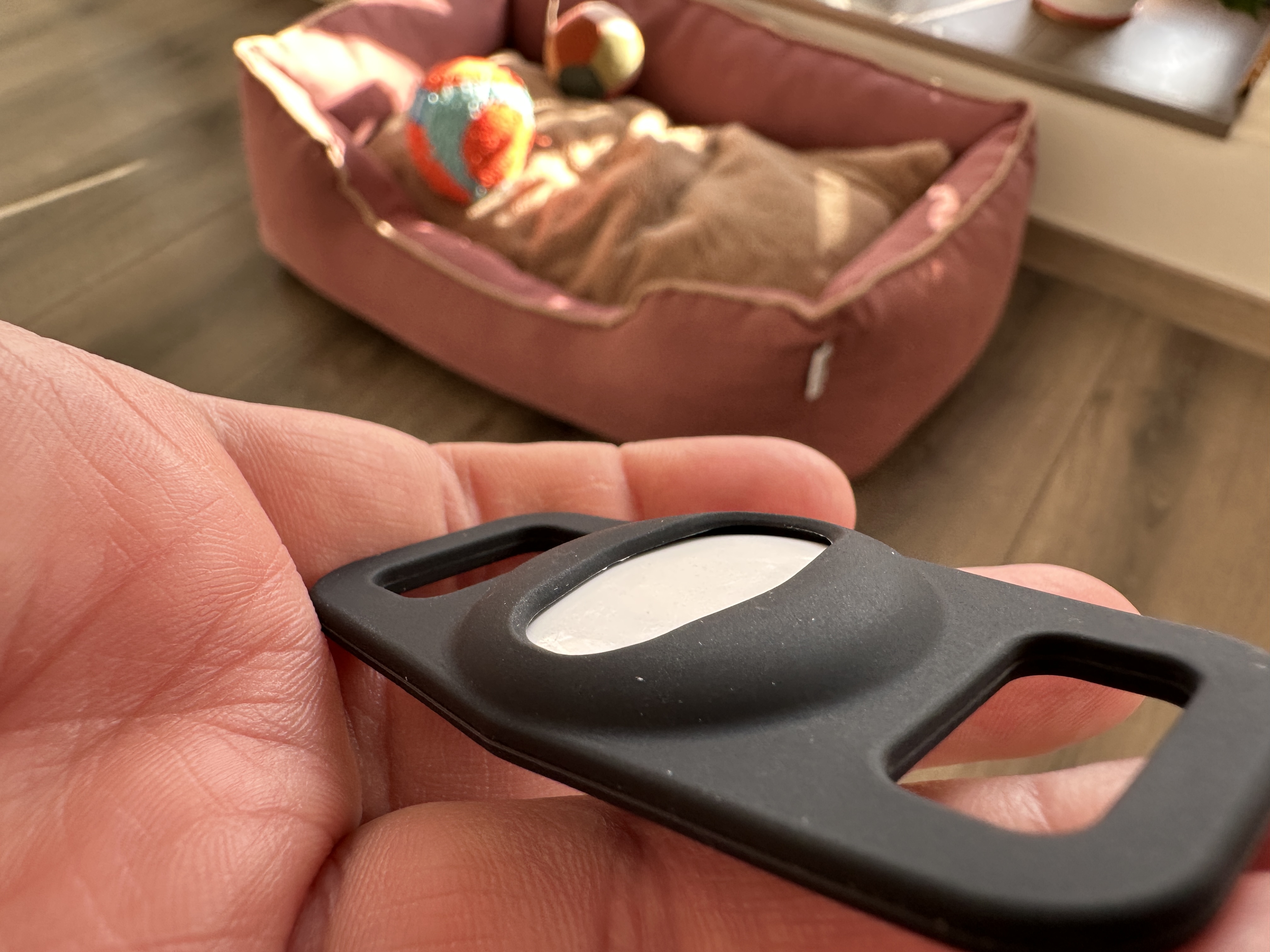 close up dog tag in hand