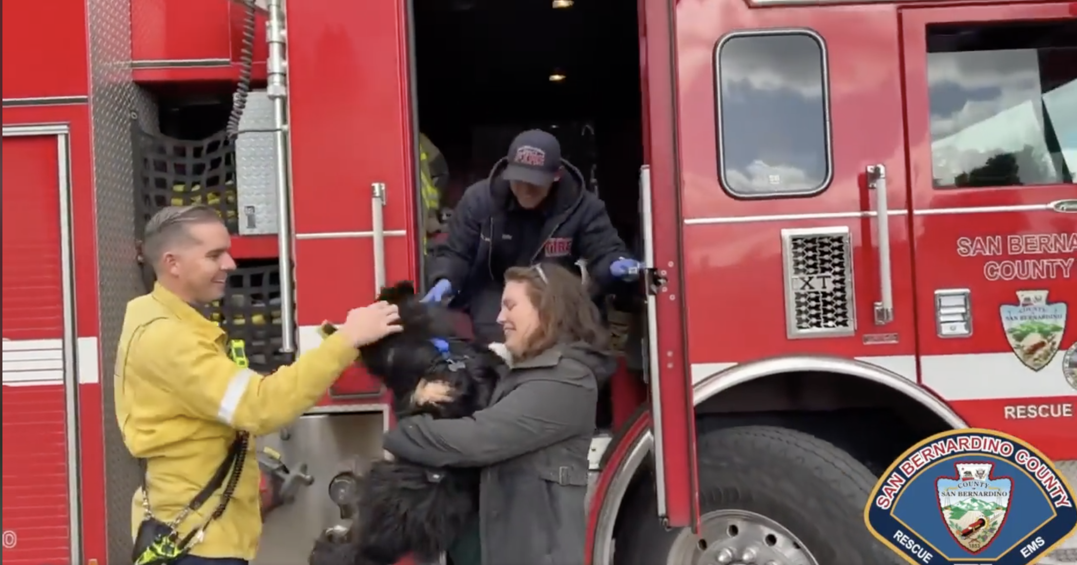 firefighter reuniting dog with owner