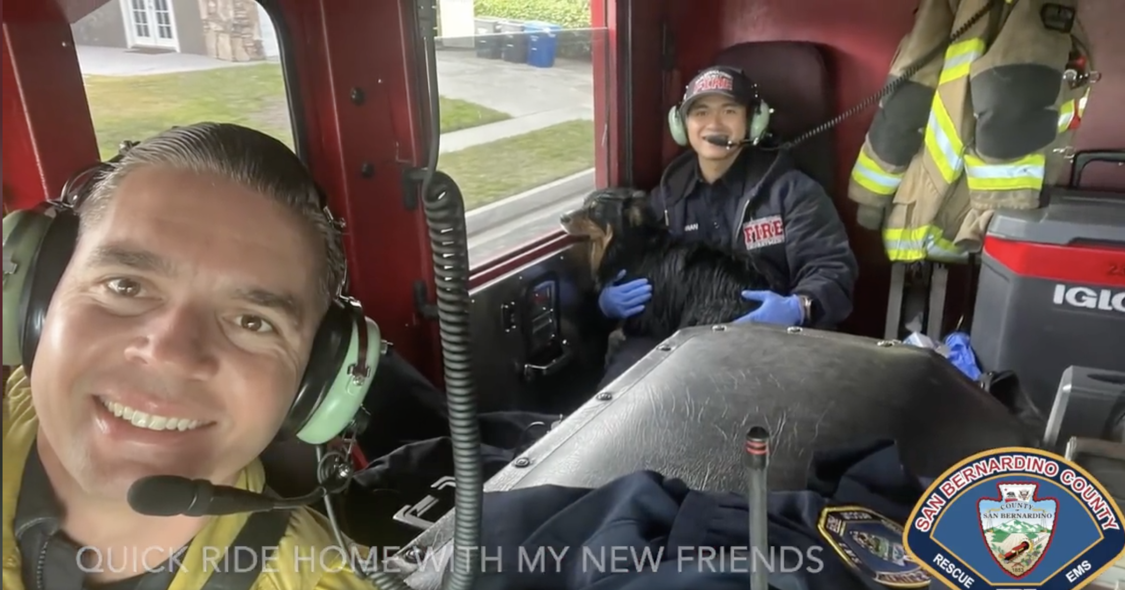 firefighters with dog in truck